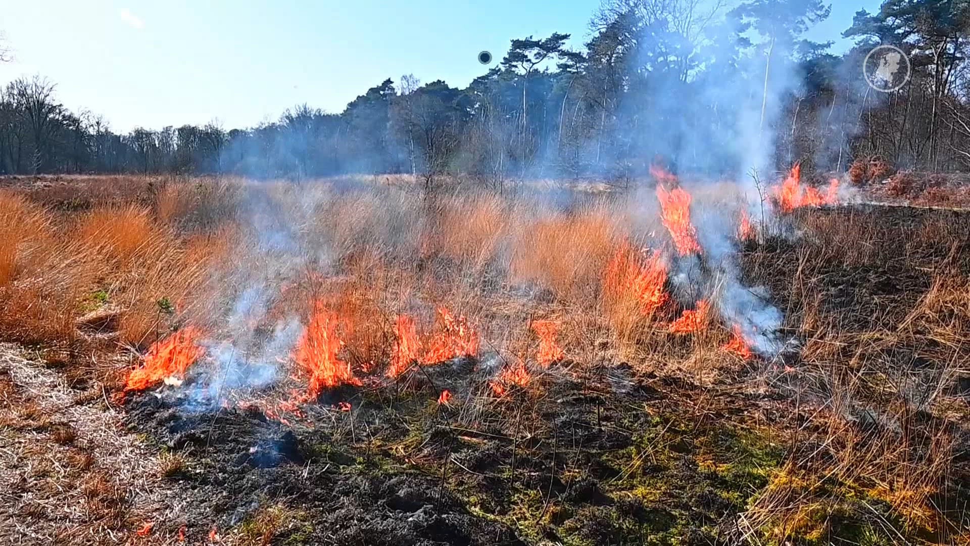 Bosbrand uitgebroken in Valkenswaard
