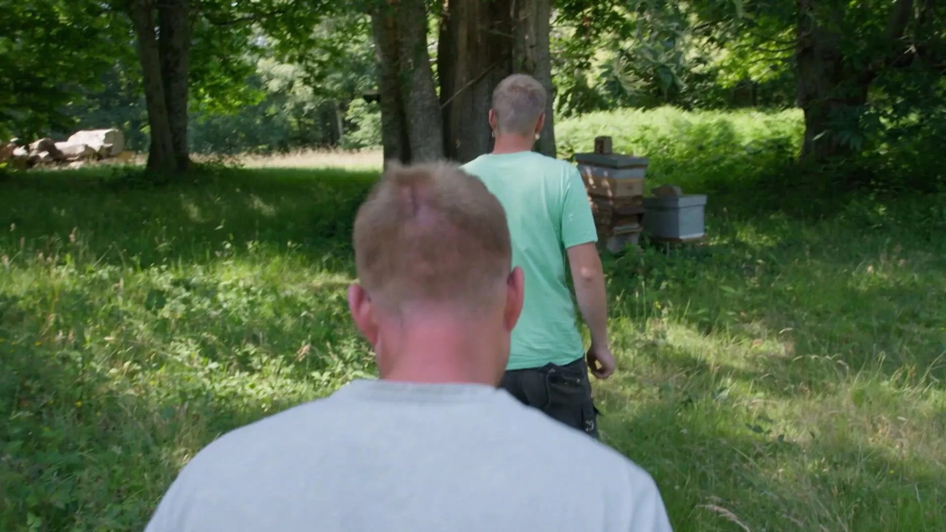De heren hebben een nieuwe hobby: bijen houden