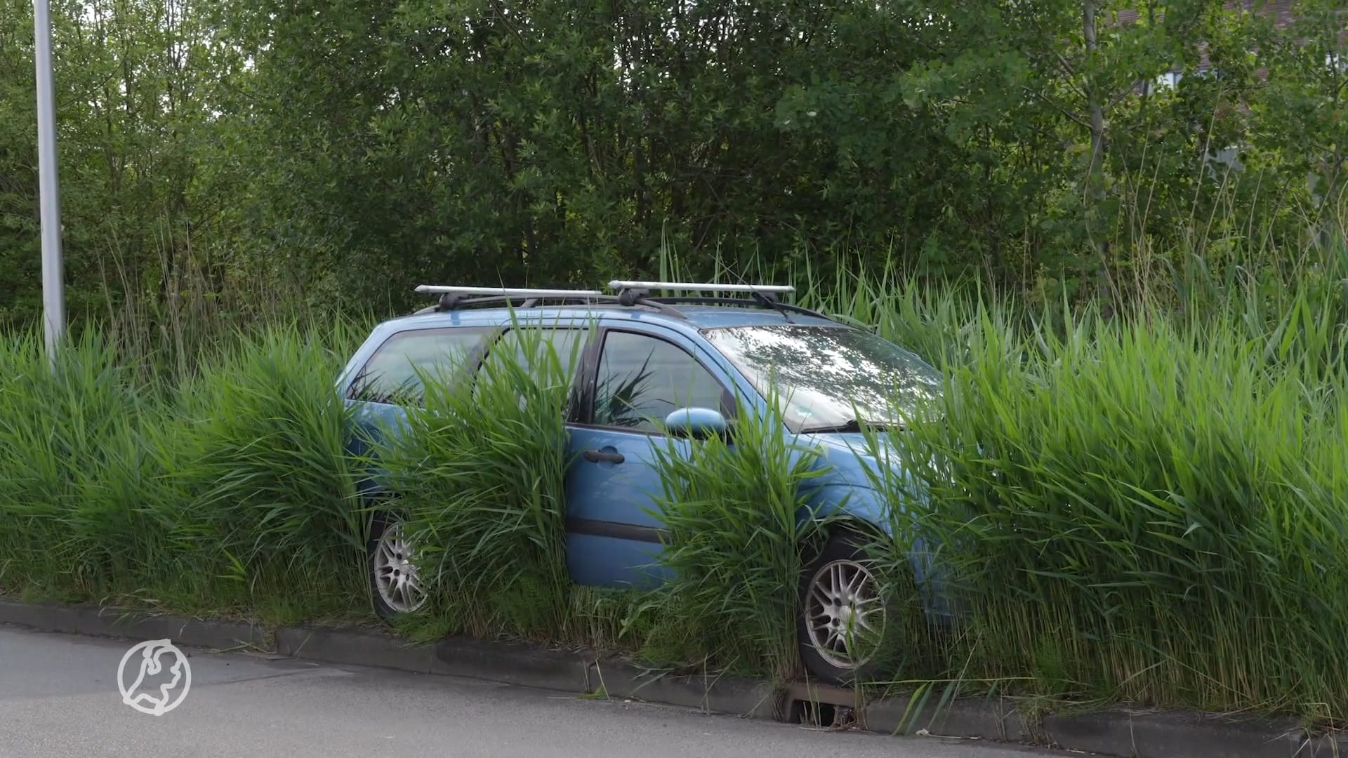 Iemand z'n auto kwijt? In Assen staat vergeten auto tussen metershoog gras