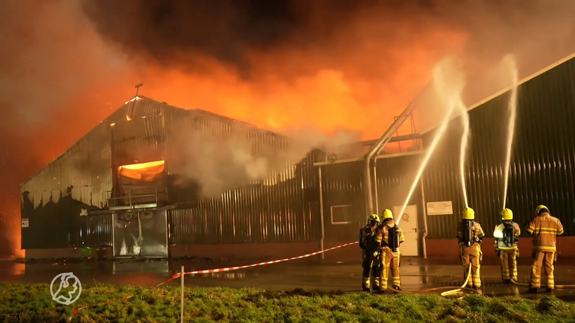 Tienduizenden vogels omgekomen door brand in Gelderse kippenschuur