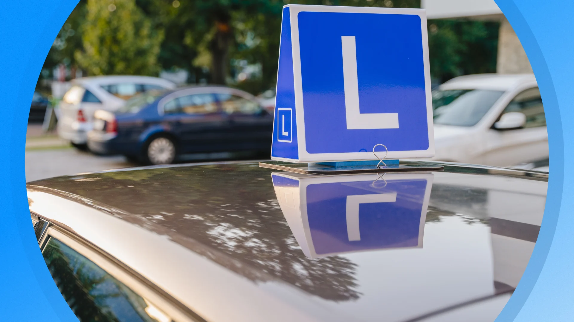 Seizoen 2026, aflevering 1349