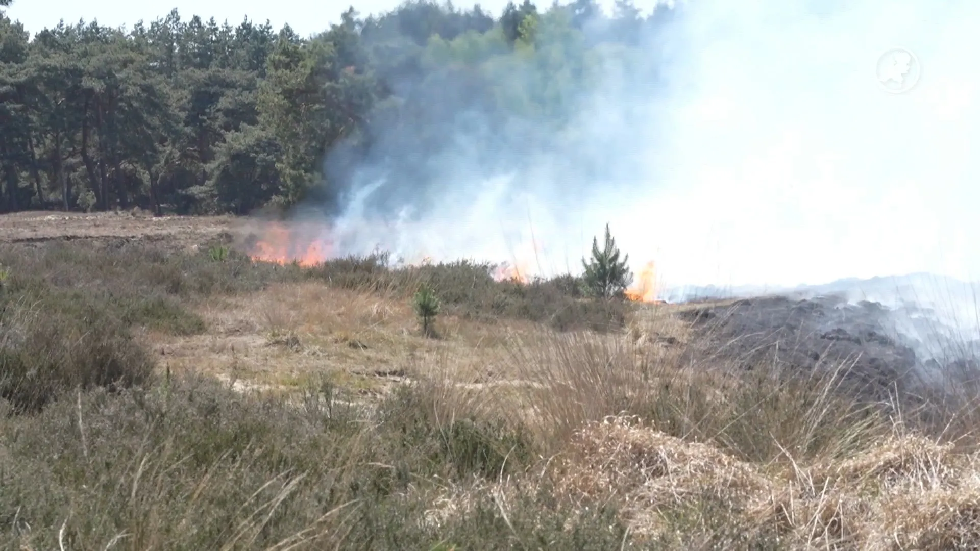 Zeer grote brand bij Weert, Kempen Airport ontruimd