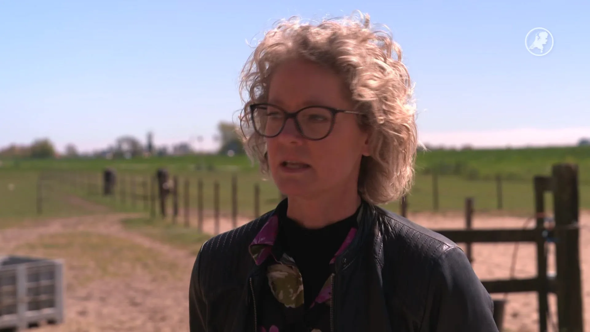 Drama in Schagerbrug: paard sterft vermoedelijk na lawaai motoren