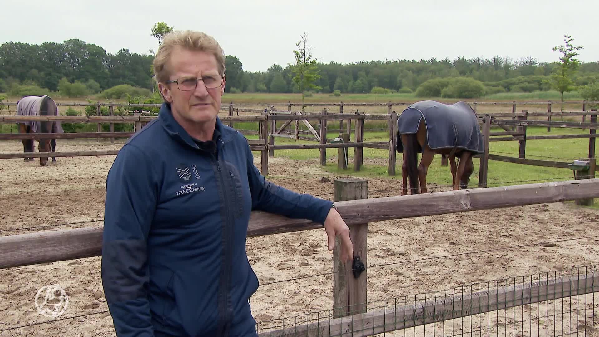 Derde pony vermist of opgegeten: omwonenden zijn er hoe dan ook klaar mee!