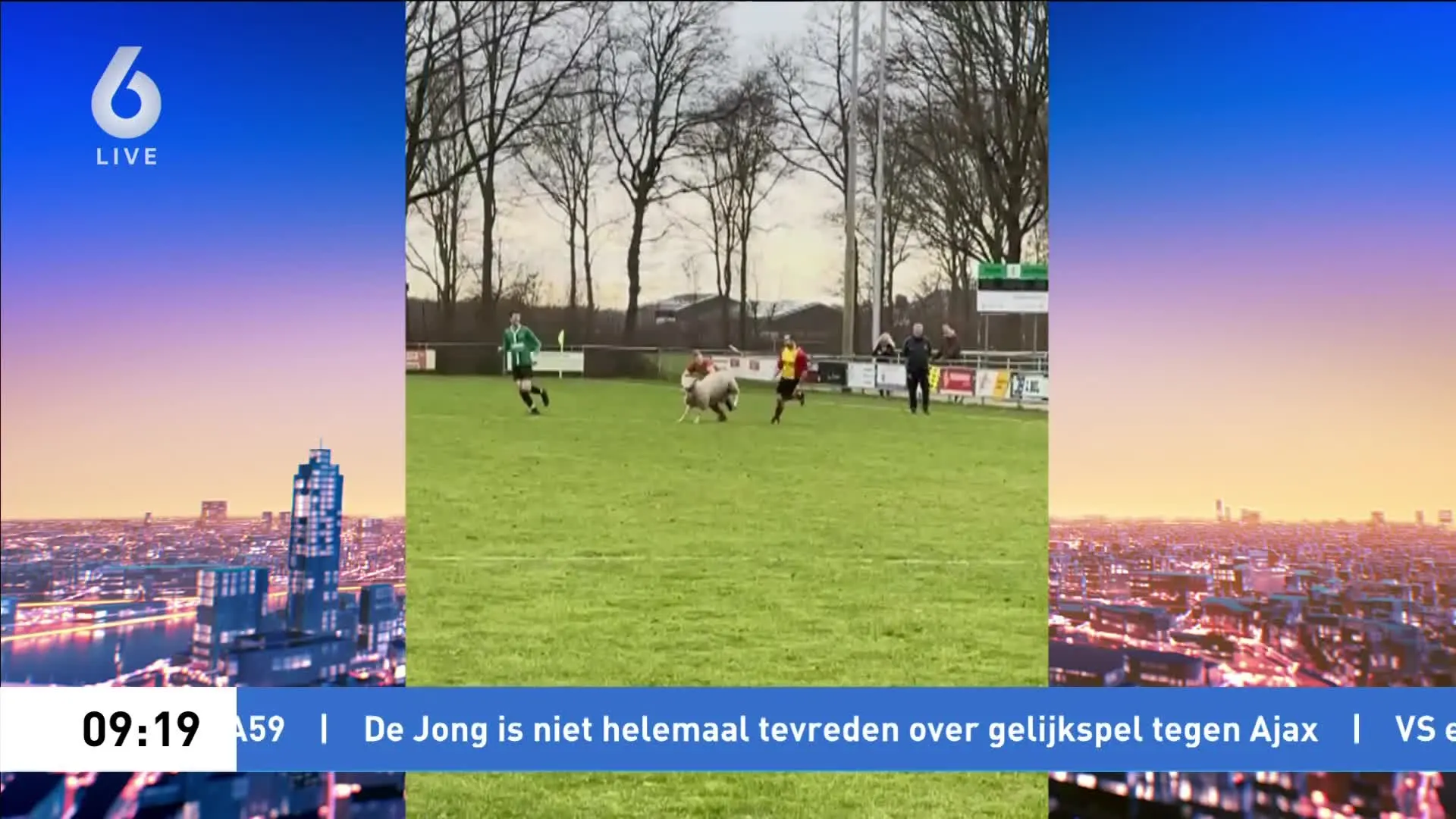 Wollige wending bij Friese voetbalwedstrijd: ongrijpbaar schaap zet veld op stelten