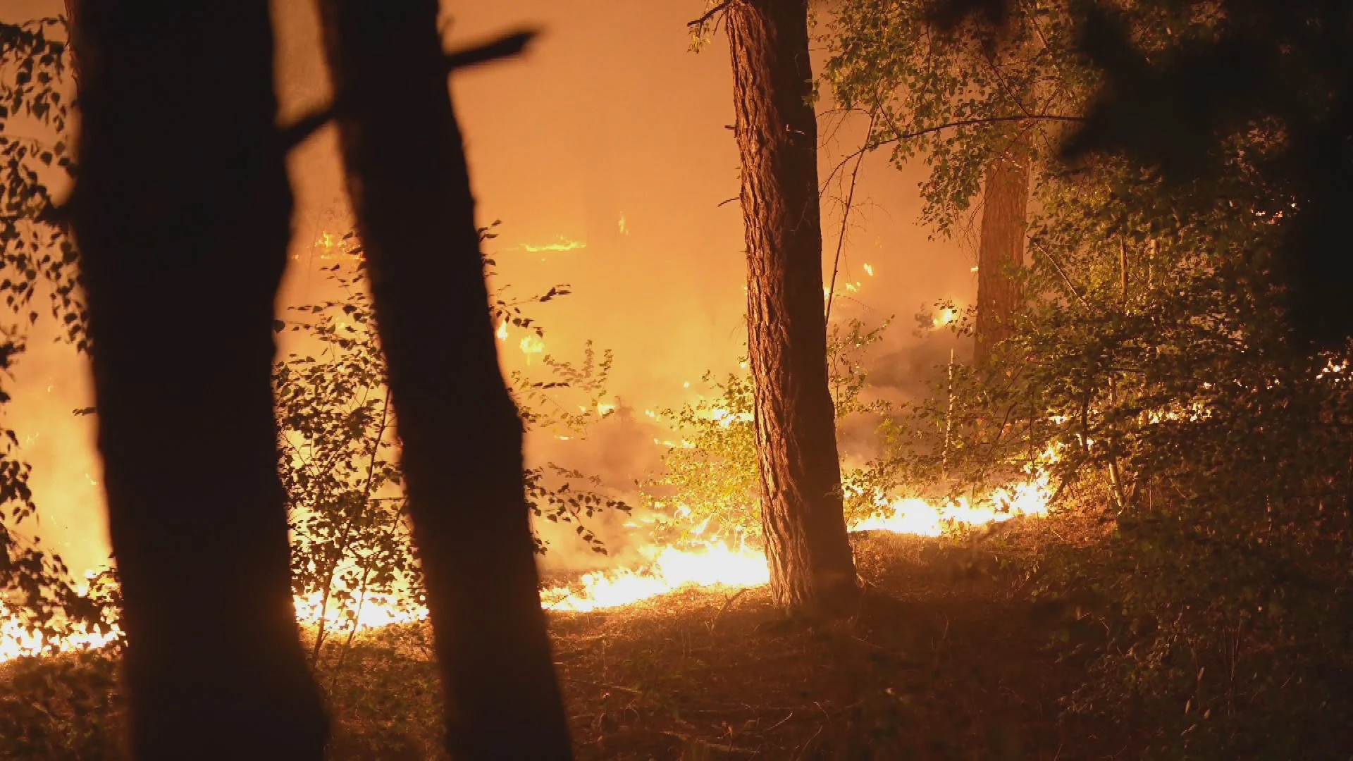 Brand in Limburg afgelopen nacht uitgebreid: al 100 hectare in vlammen op