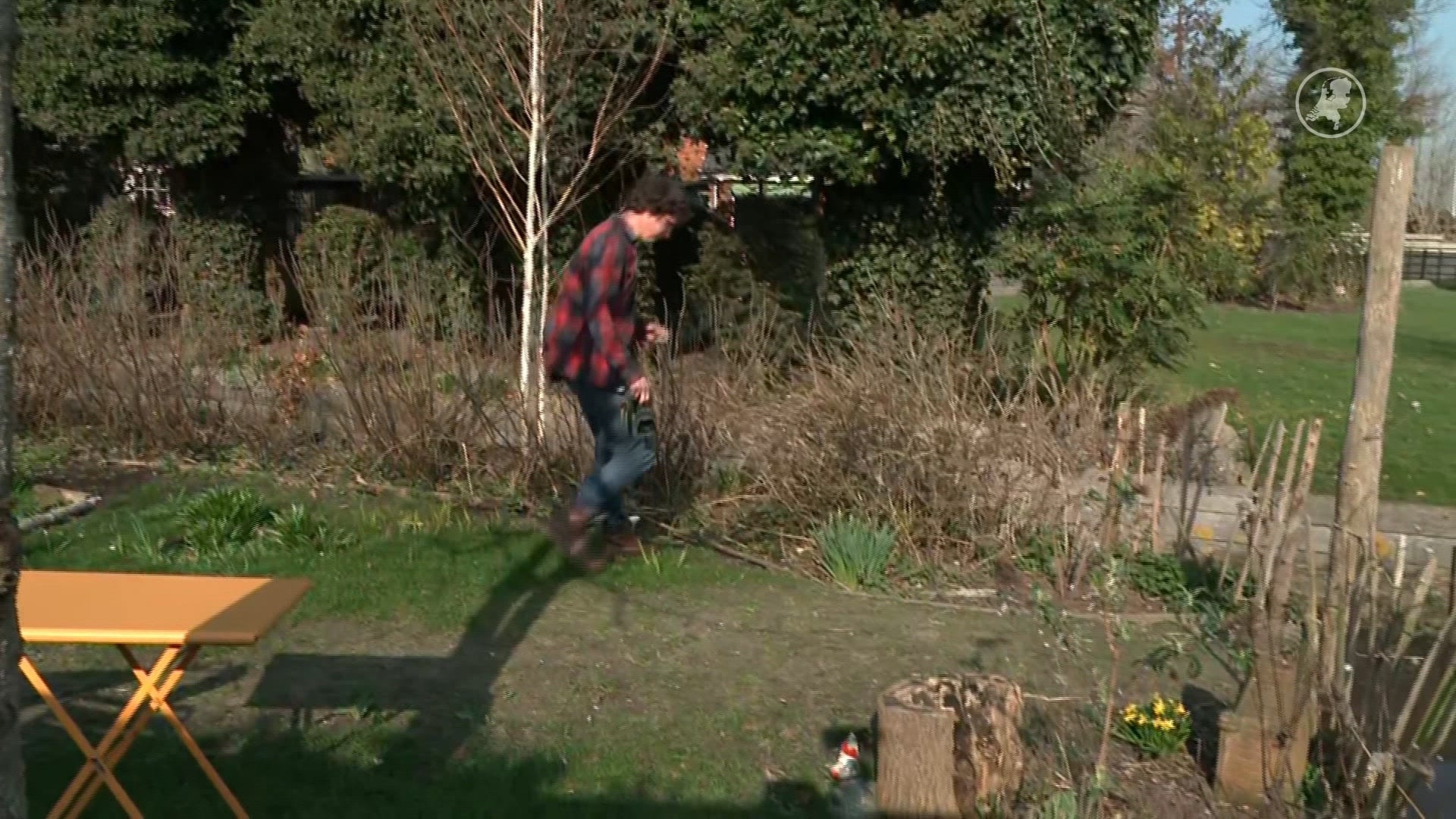 Brams 'lego vogels' hebben op Instagram al 16 000 volgers