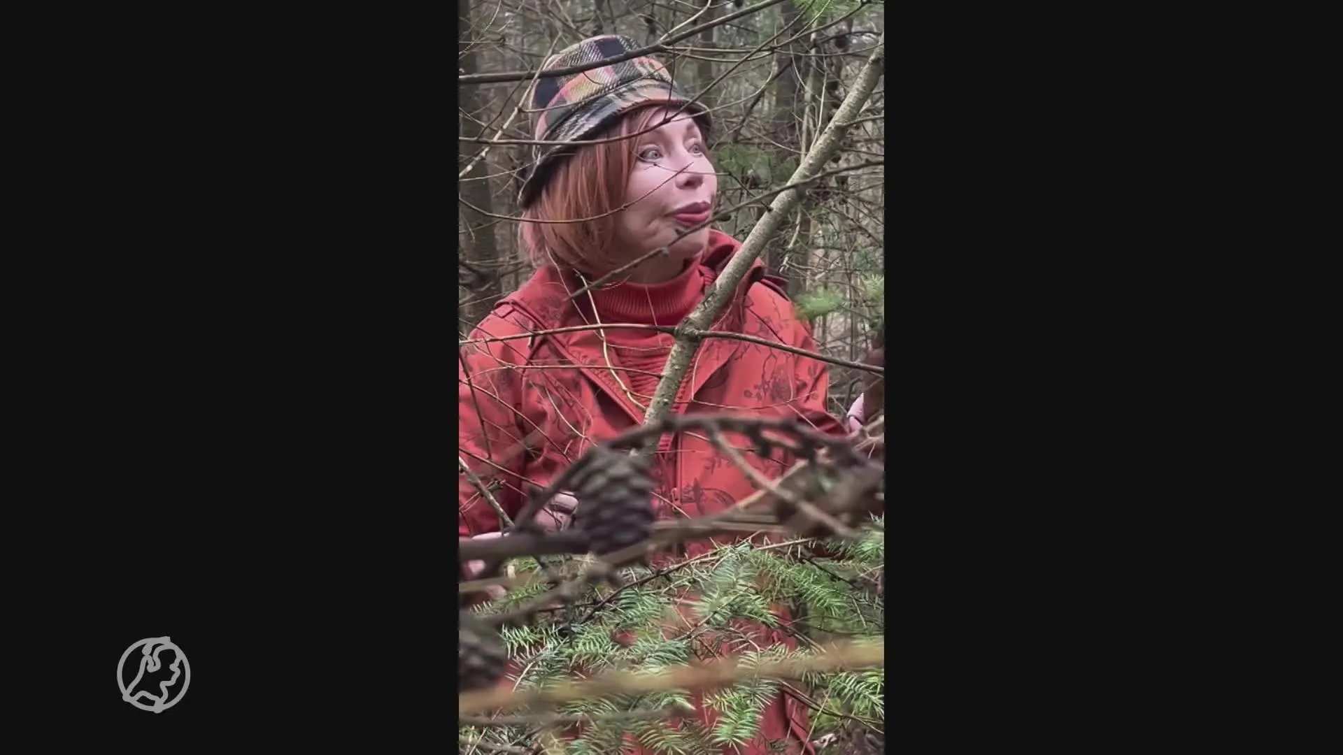 Dat knabbelen aan een dennentak, is dat gevaarlijk?