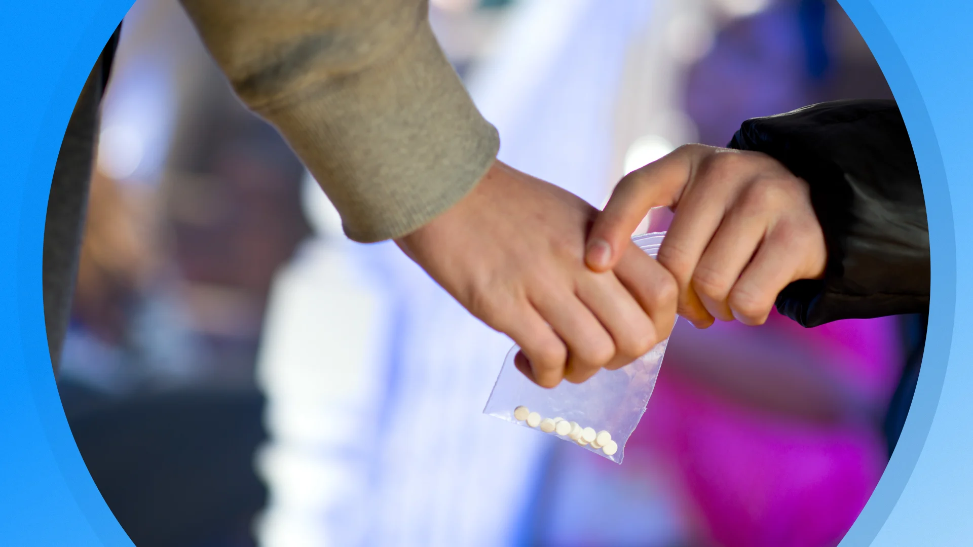 Seizoen 2026, aflevering 1177