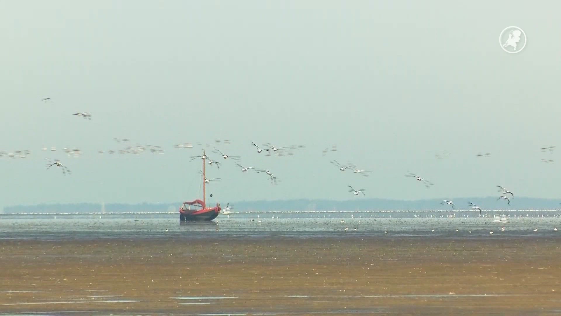 Bewoners bij Waddenzee willen werelderfgoed behouden: zorgen om zoutwinning