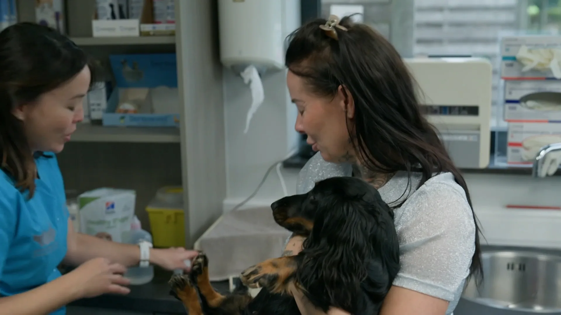 De hond van Peter en Wendy is Zwanger!