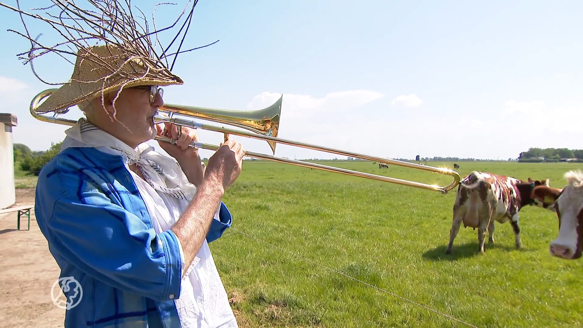 Rock, ballads of Nederlandse meezingers: wat is de muzieksmaak van een koe?