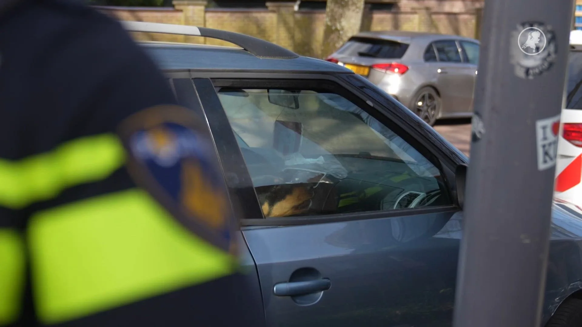 Hond zit 24 uur vast in auto, politie bevrijdt het dier