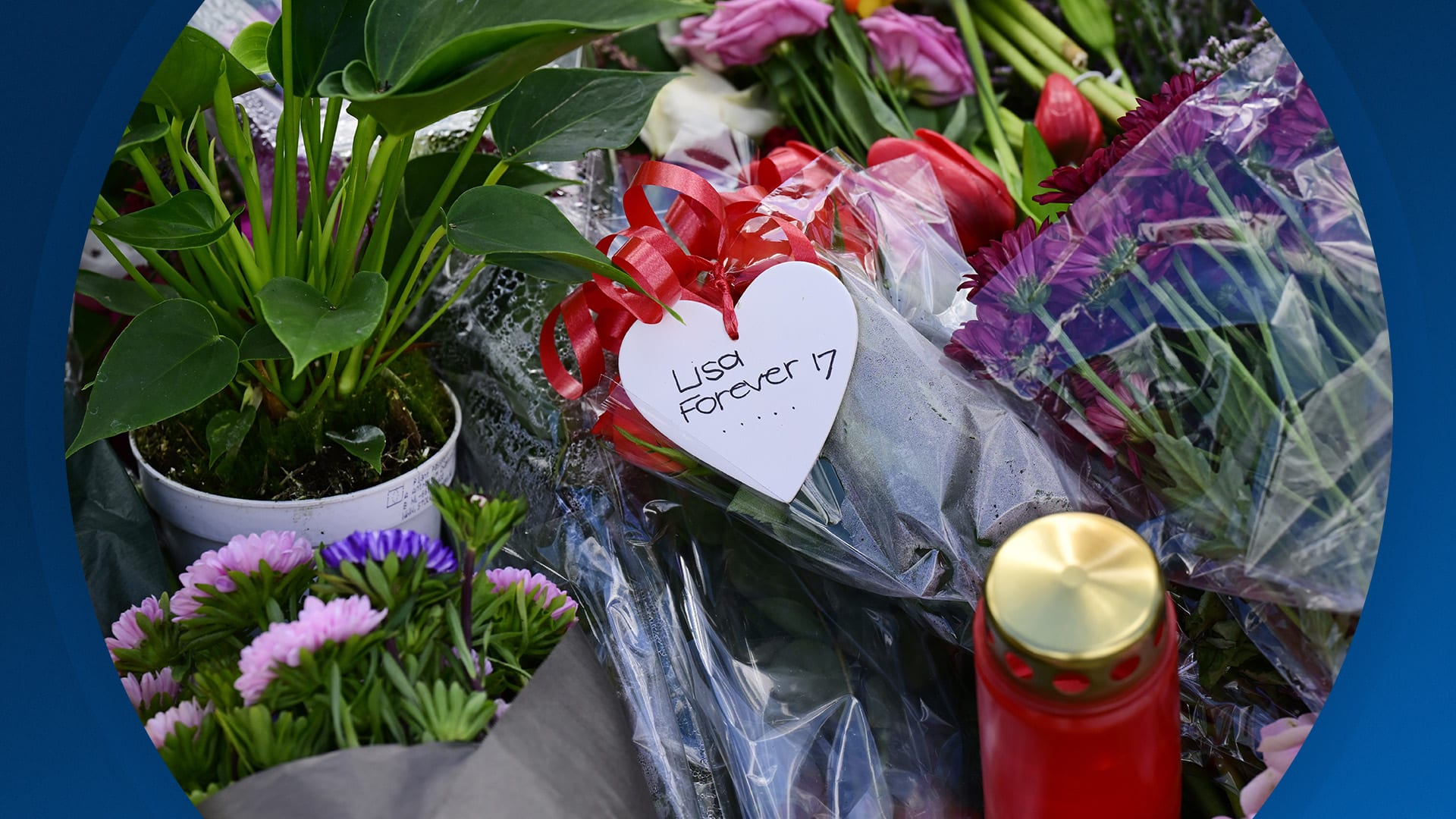 Seizoen 2026, aflevering 31