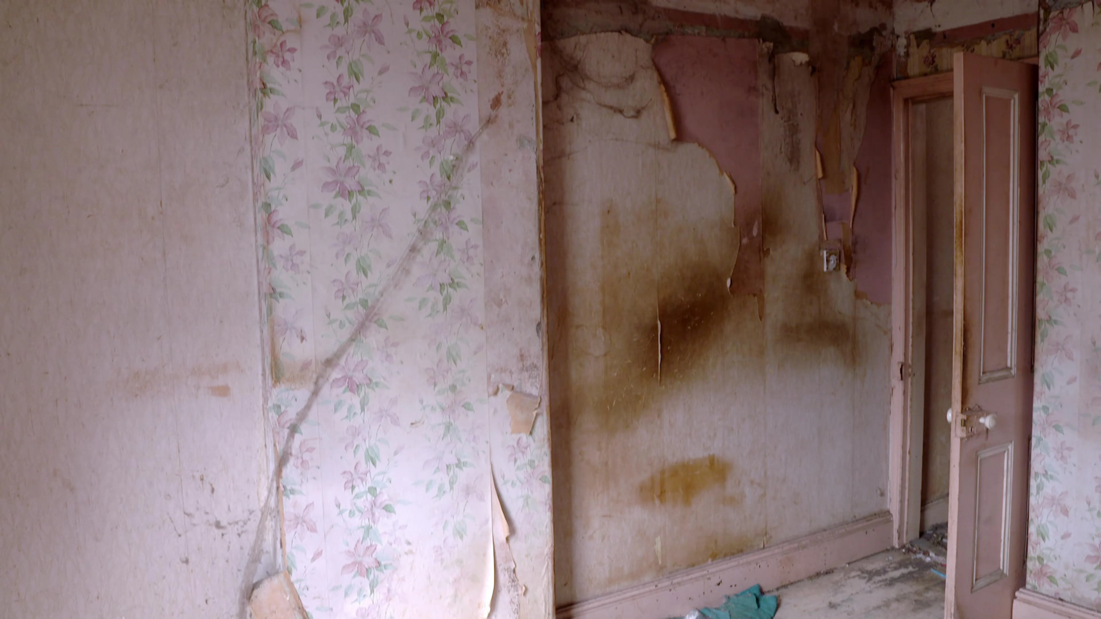 Homes under the Hammer