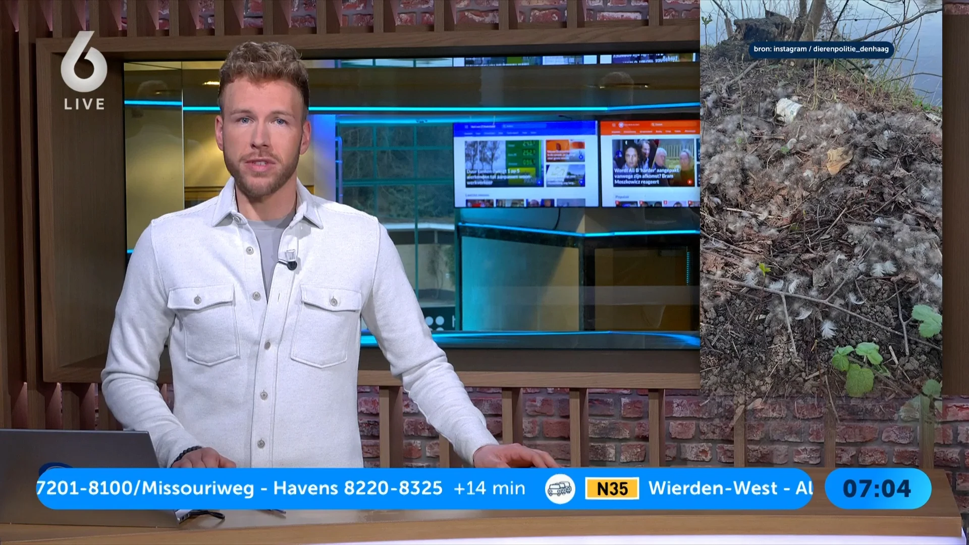 Visser jaagt broedende gans weg, eieren verdwenen