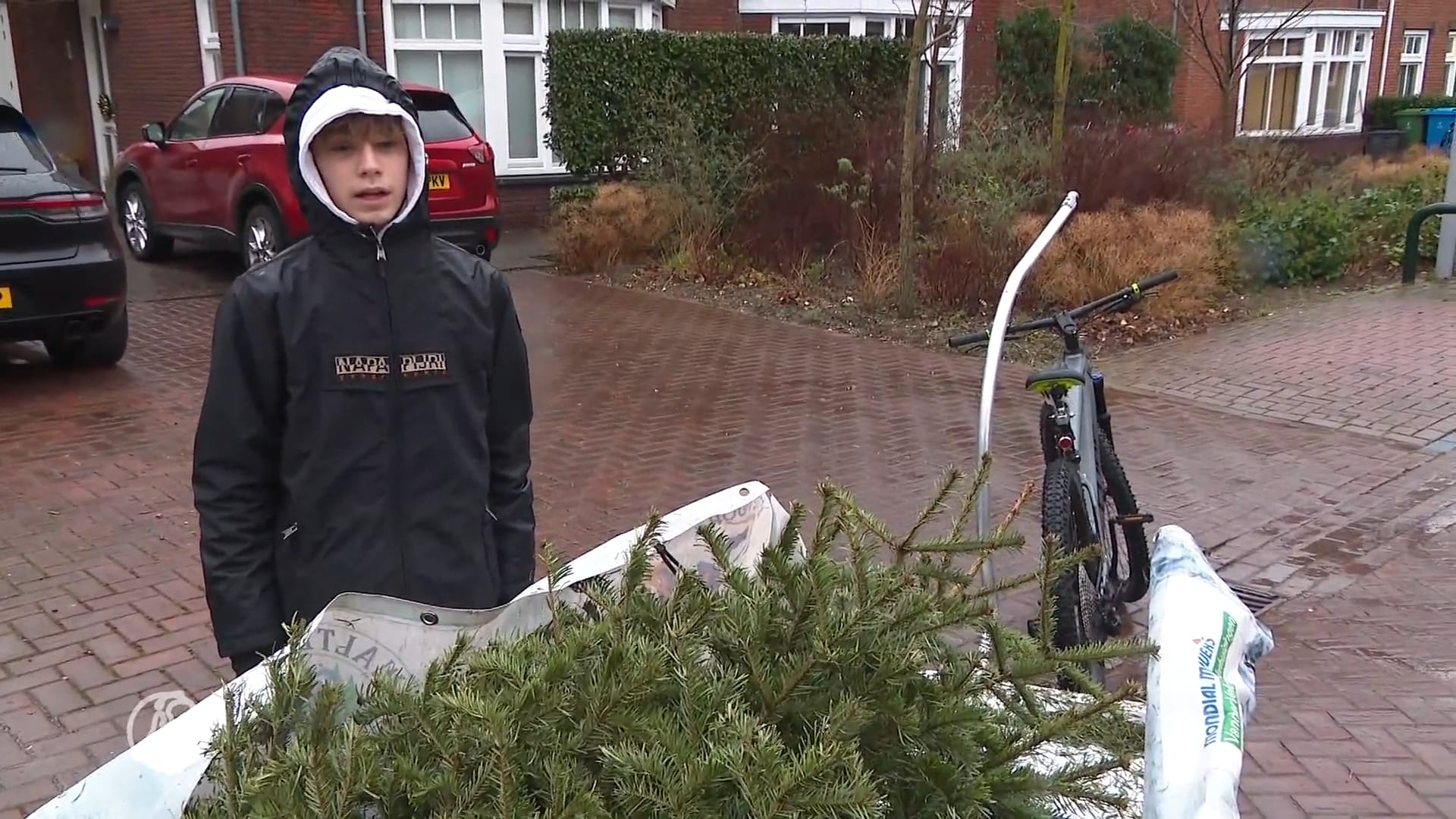 Hartverwarmend: Walter (13) haalt kerstbomen op voor KiKa