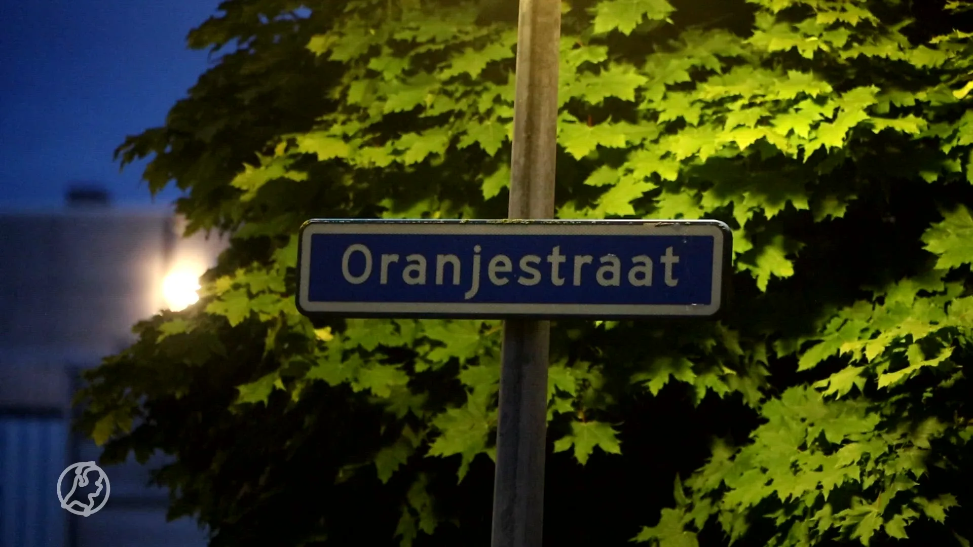 Politie schiet verdachte in been bij aanhouding in Uden