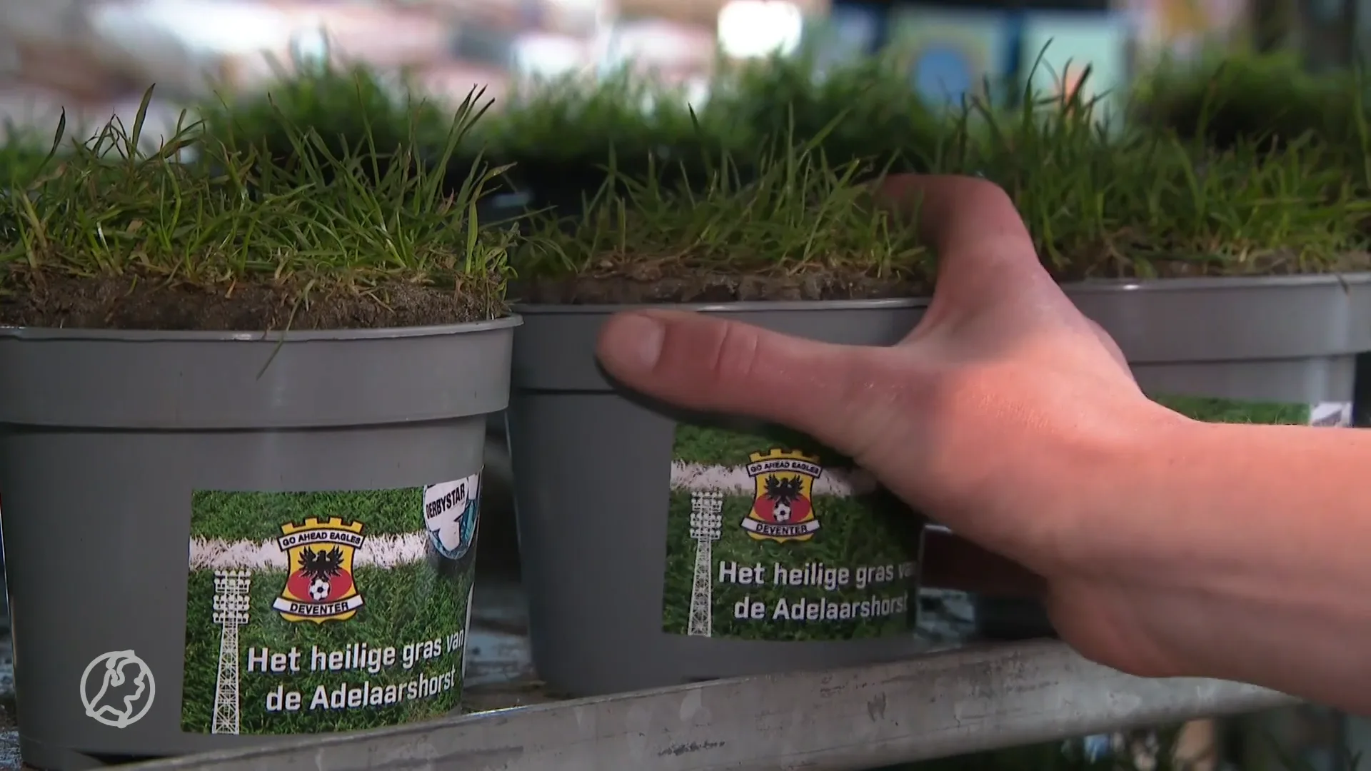 Tuincentrum Deventer verkoopt stukjes voetbalveld uit stadion Go Ahead Eagles