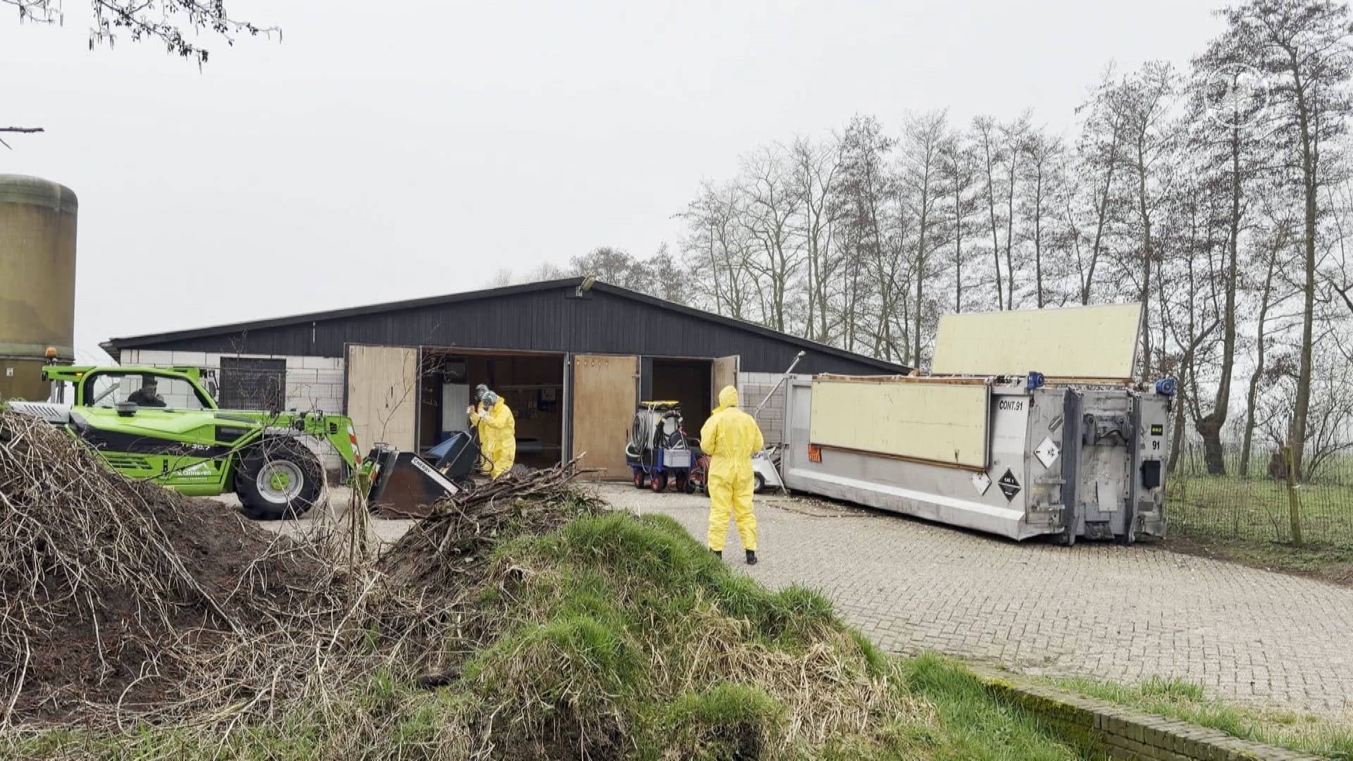 Vogelgriep vastgesteld in Putten, 23.000 leghennen gedood