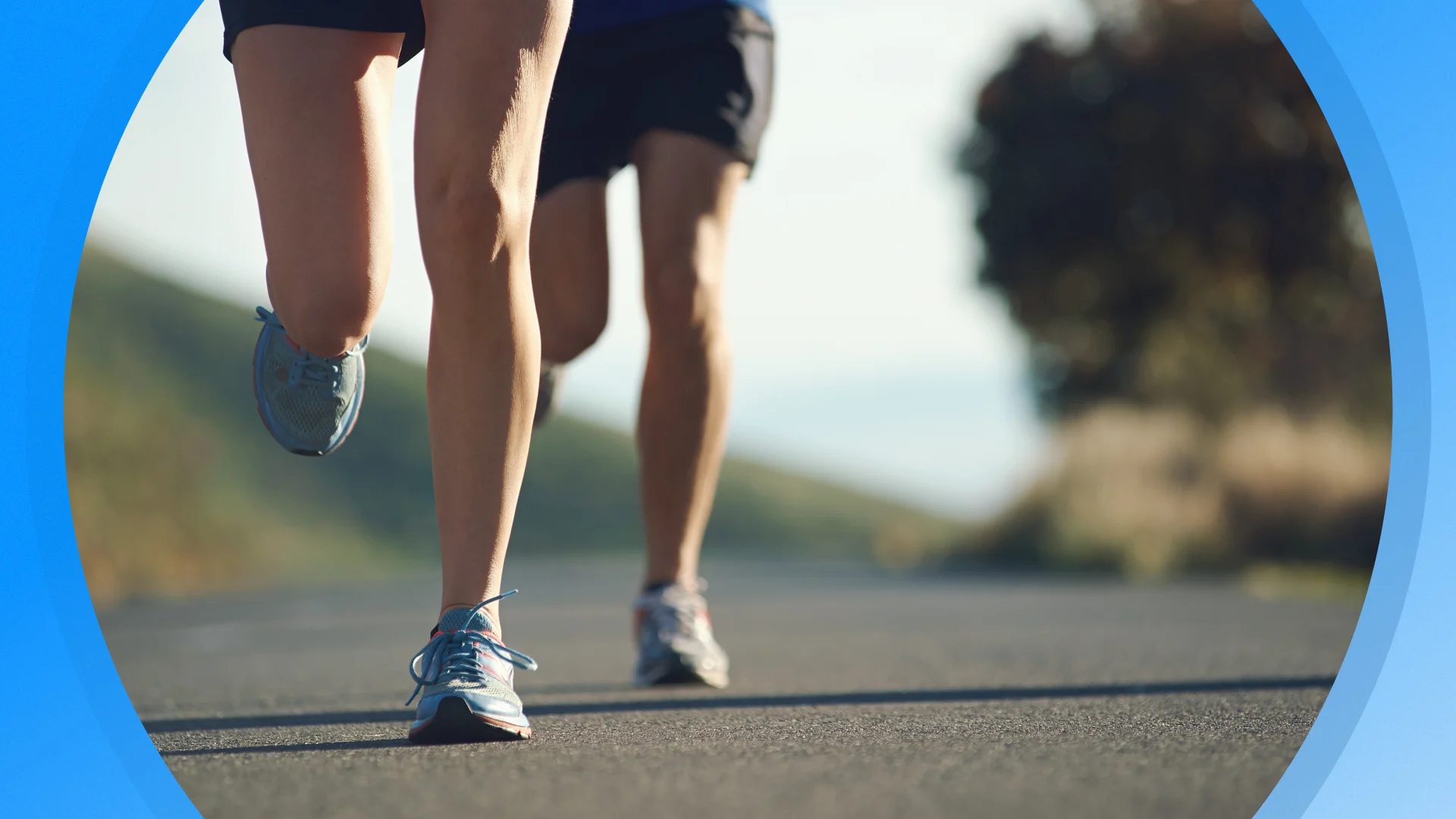 Seizoen 2026, aflevering 941