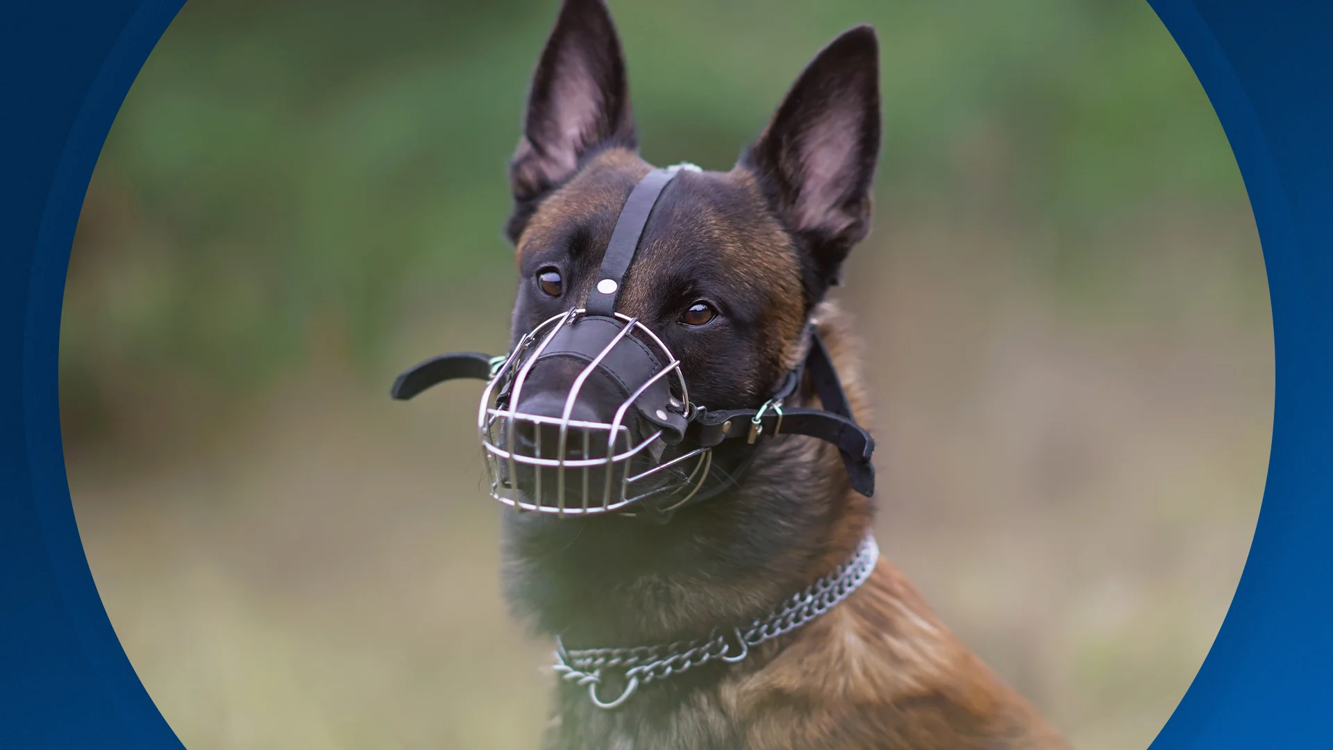 Seizoen 2026, aflevering 65