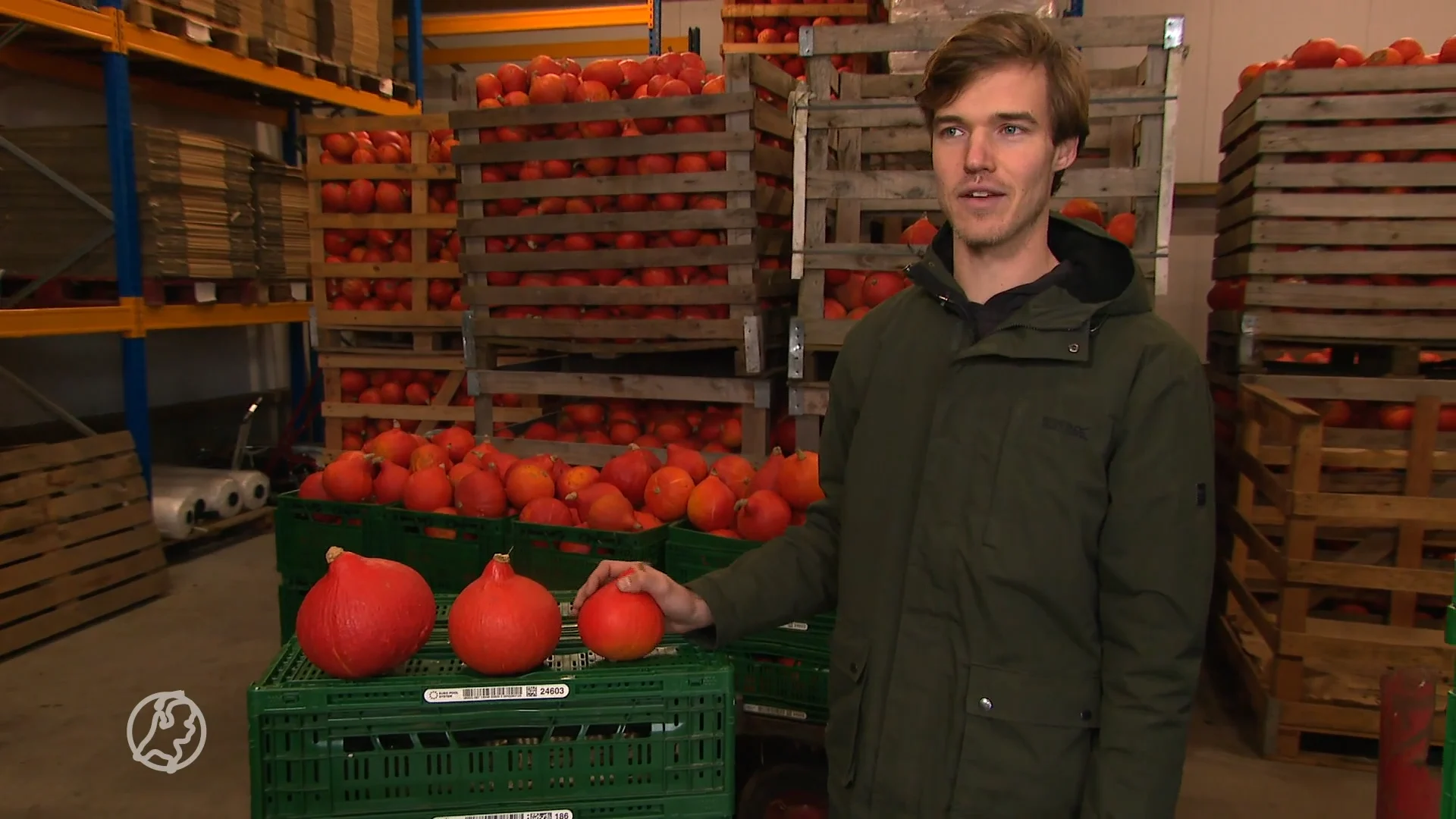 Te klein, te groot of misvormd: pompoenverkoper Ivar strijdt tegen voedselverspilling