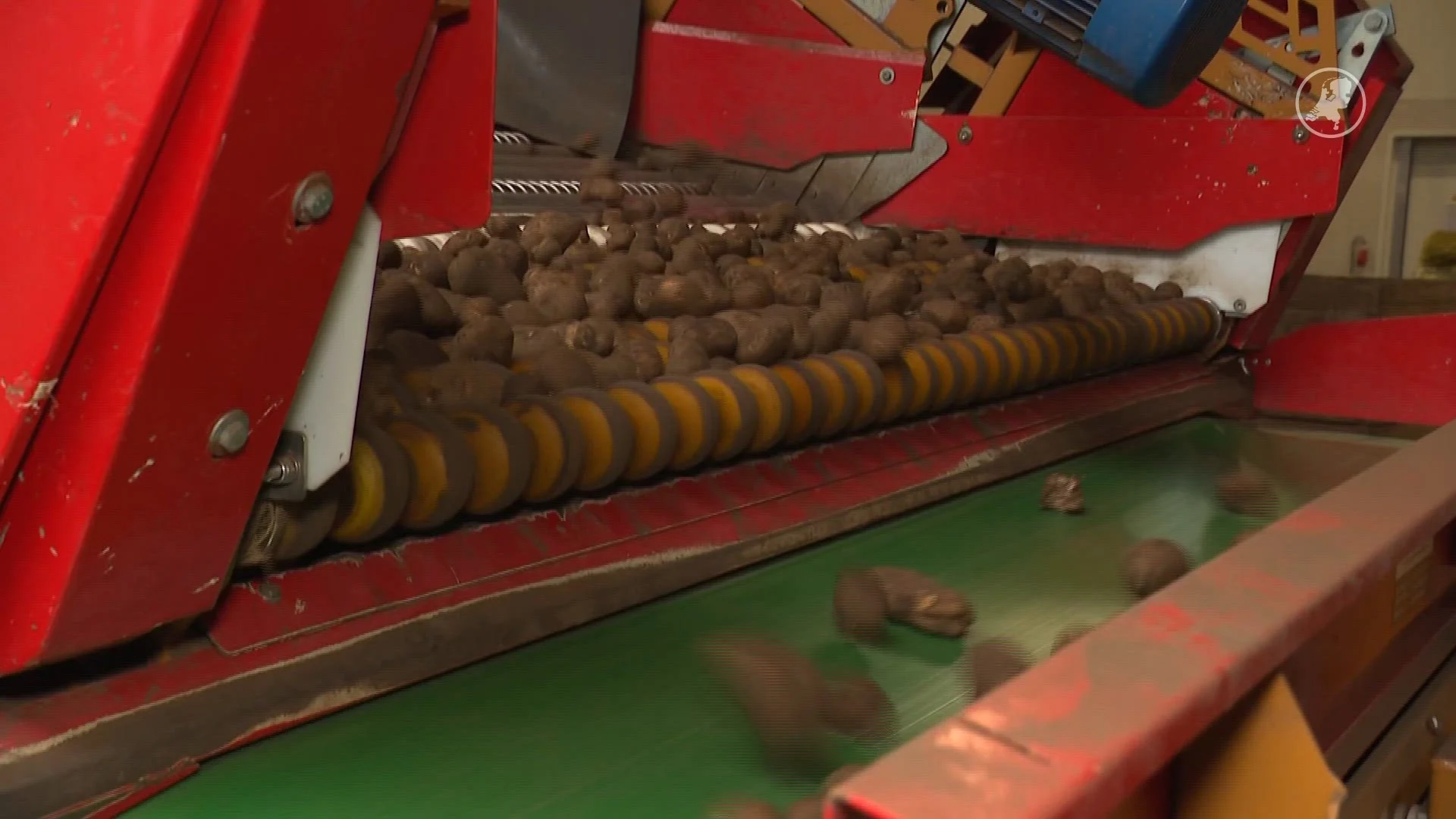 Richard zit ineens met 1,5 miljoen kilo aardappelen