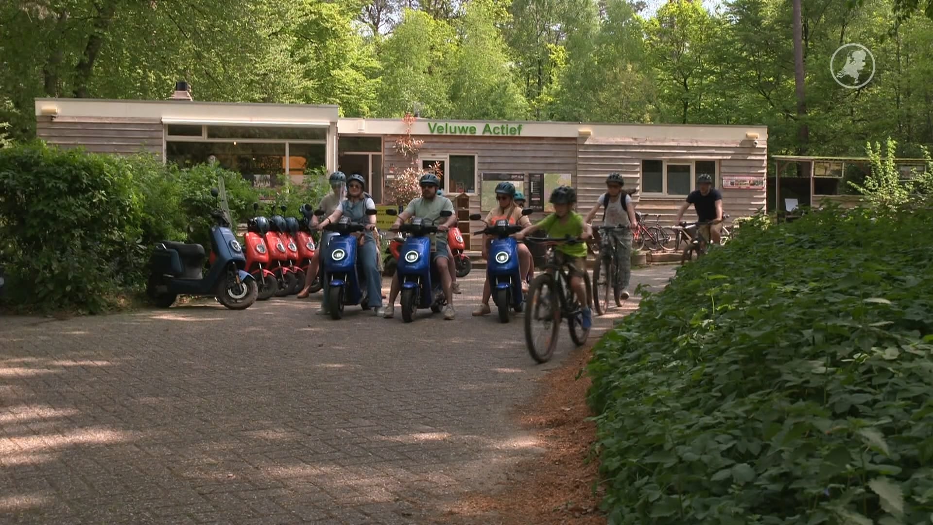 Drukte op de Veluwe loopt de spuigaten uit: natuur staat onder druk
