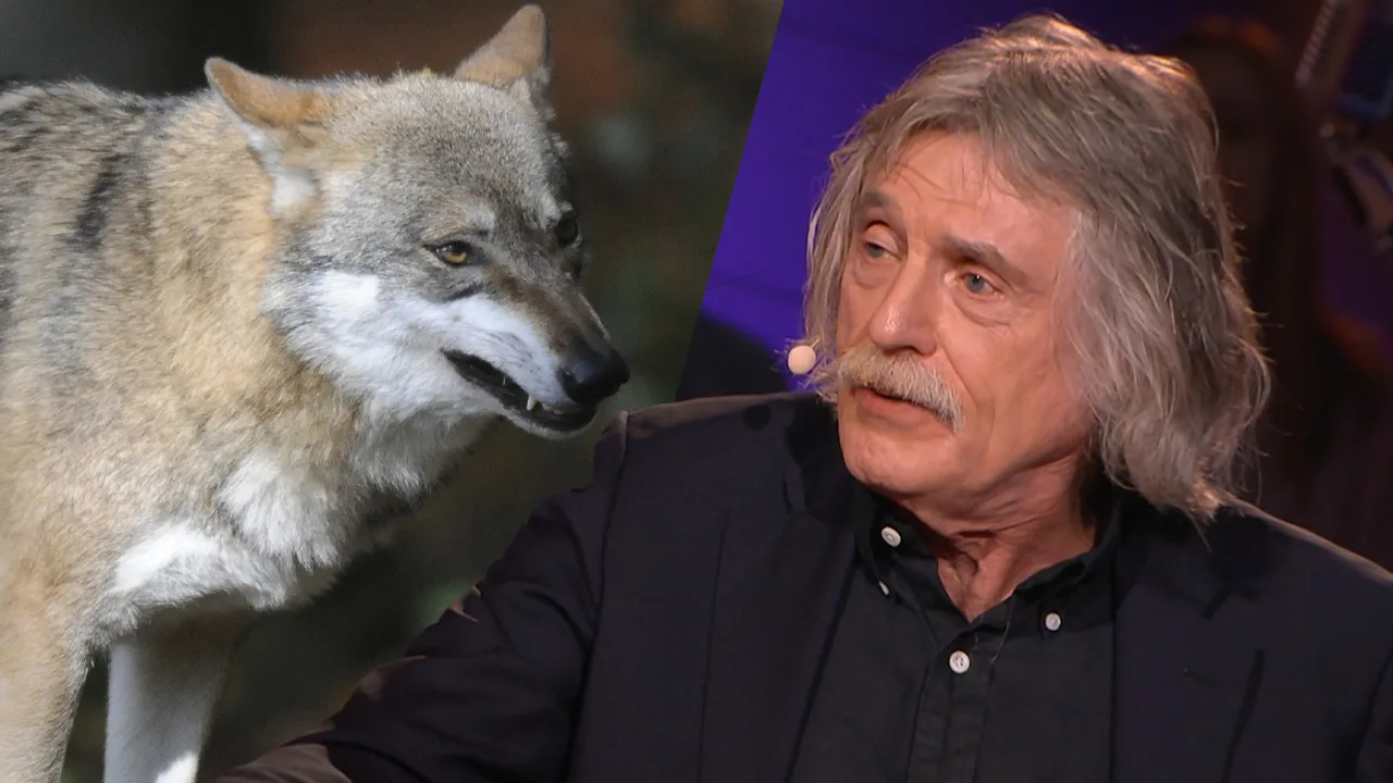 Johan krijgt luid applaus na vurig betoog over probleemwolven in de provincie