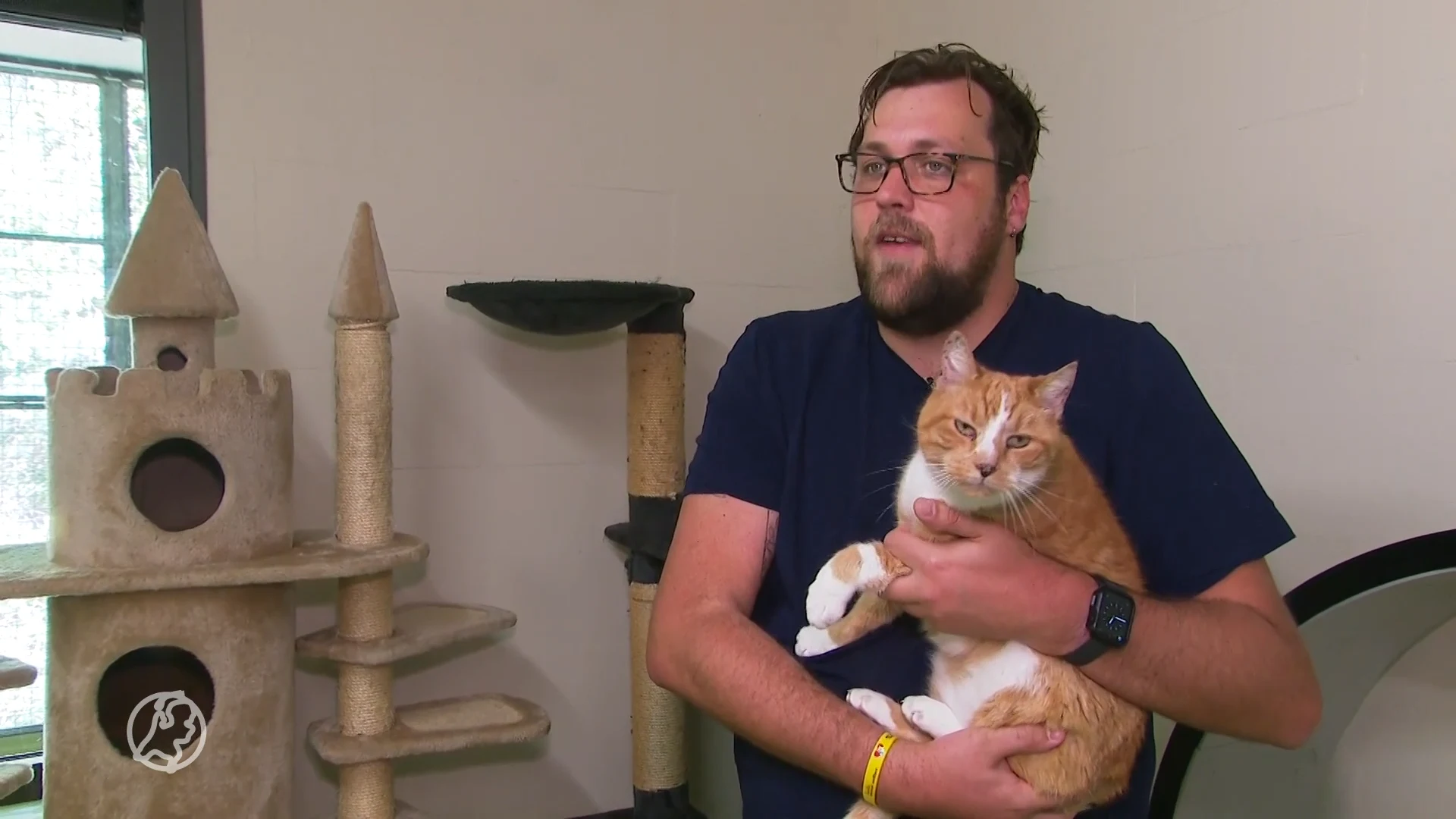 Dierenbescherming: veel hogere straffen nodig voor mishandeling van dieren