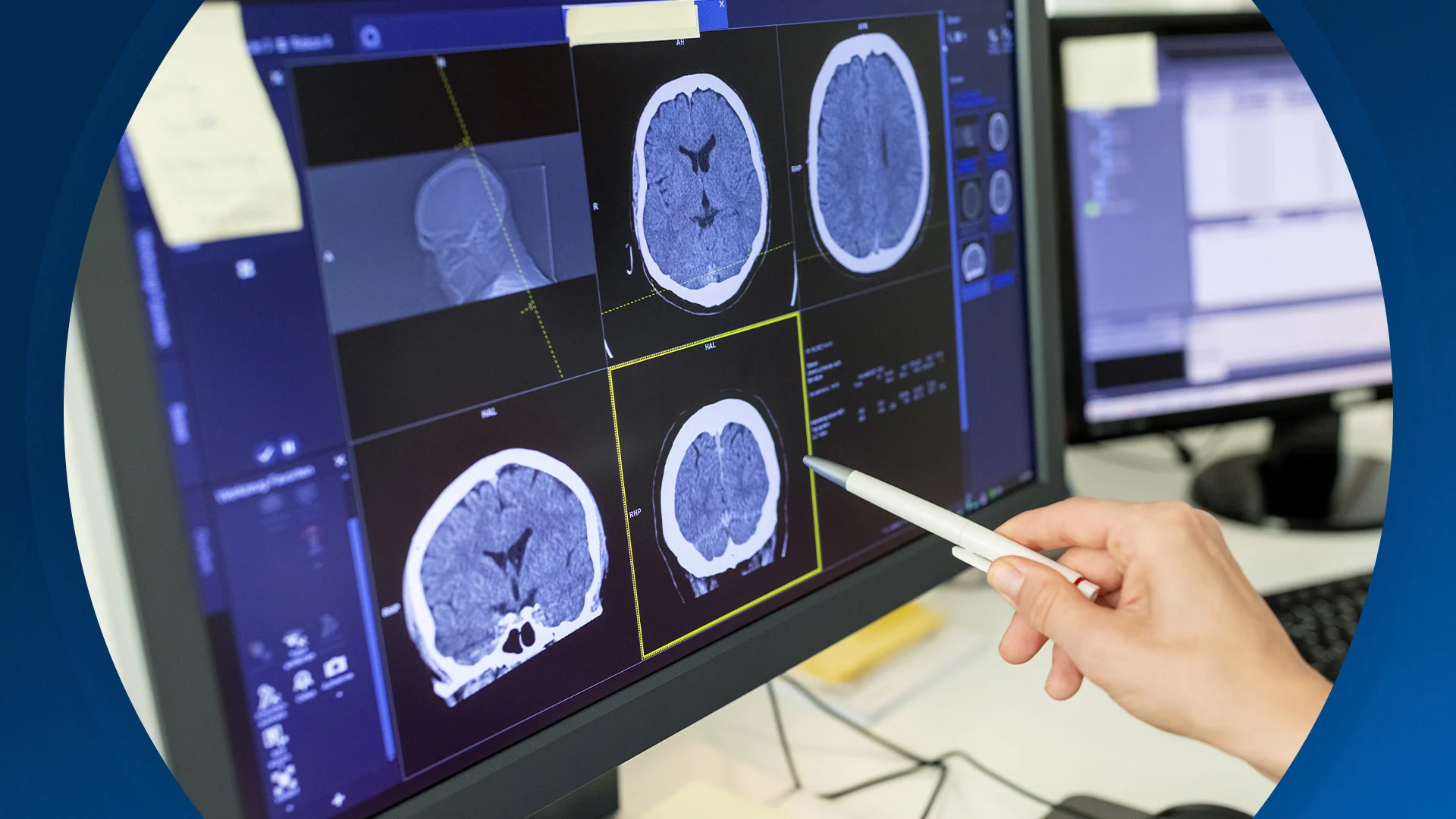 Seizoen 2026, aflevering 16