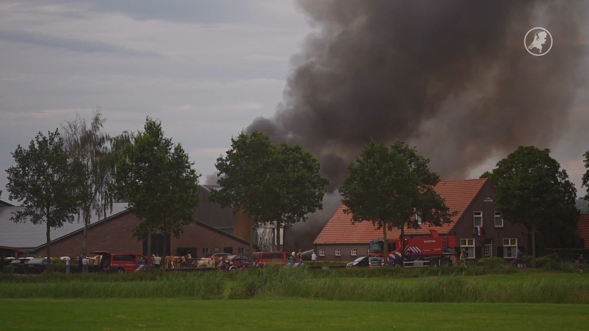 Grote stalbrand in Mariahout, meerdere koeien uitgebroken