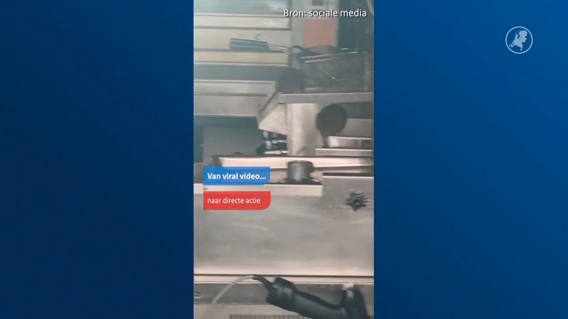 Ratten krioelen door restaurant, zaak direct gesloten