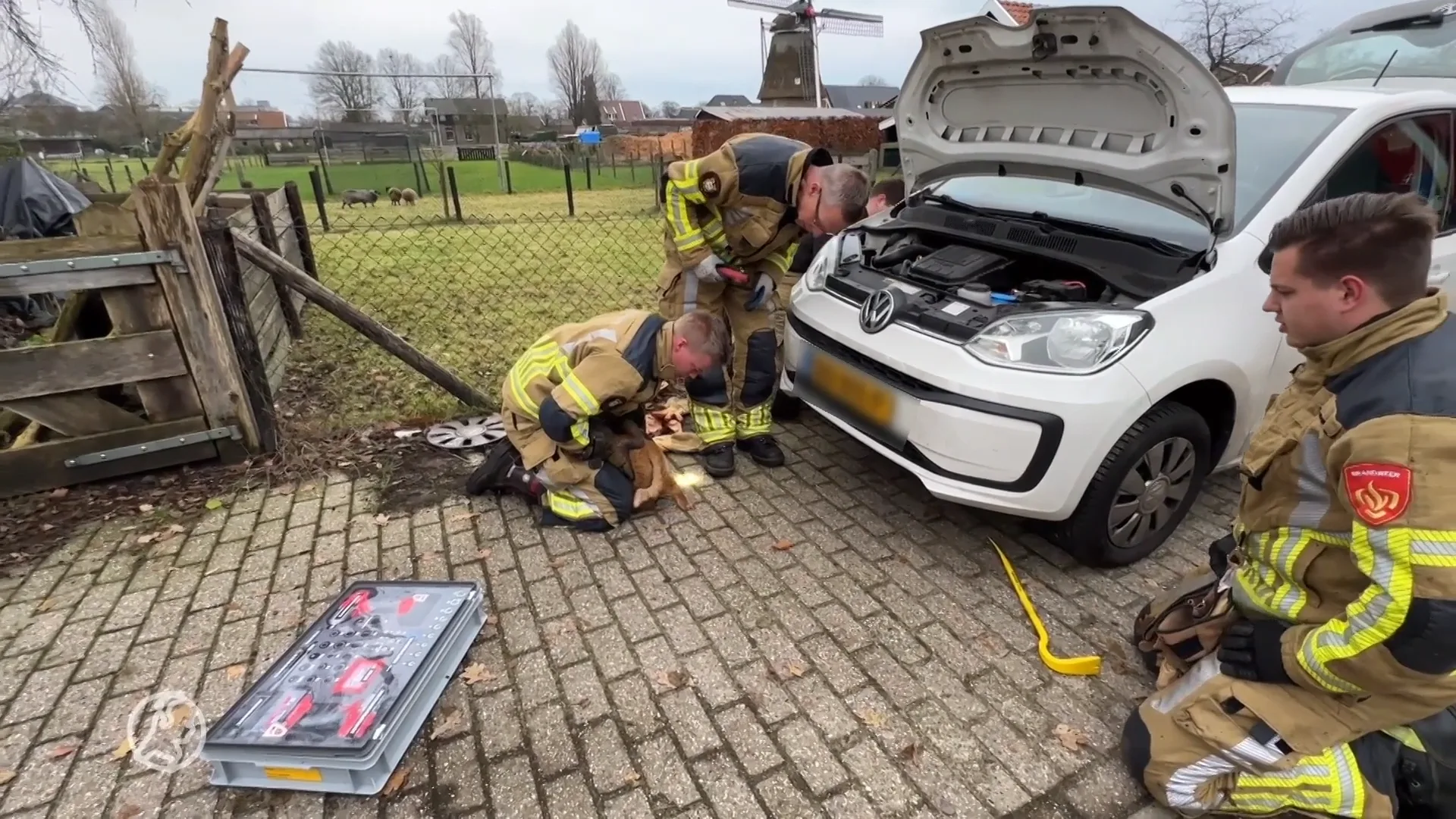 Kat zit met achterpootje klem onder motorkap, brandweer schiet de hulp