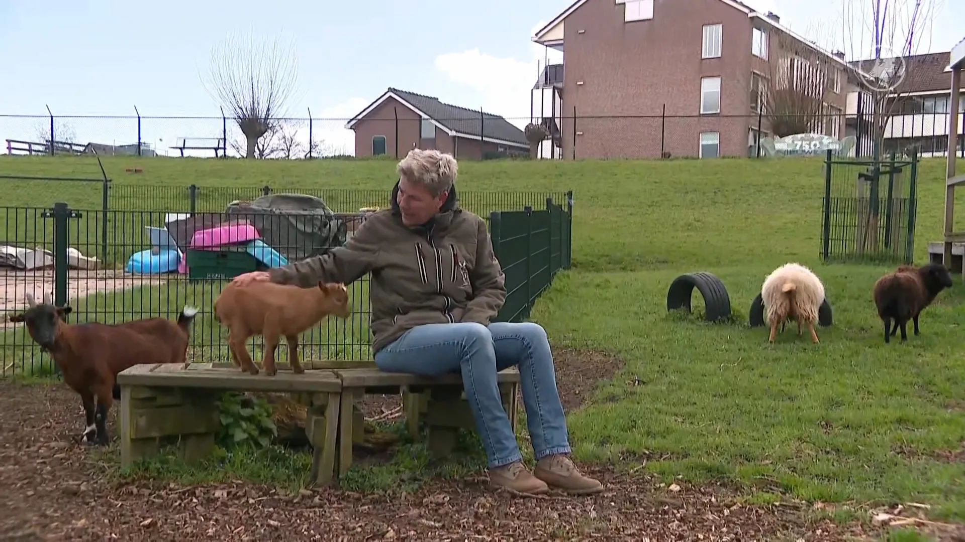 Kinderboerderij in Nieuwkoop klaar met hangjeugd na opnieuw een overleden geit