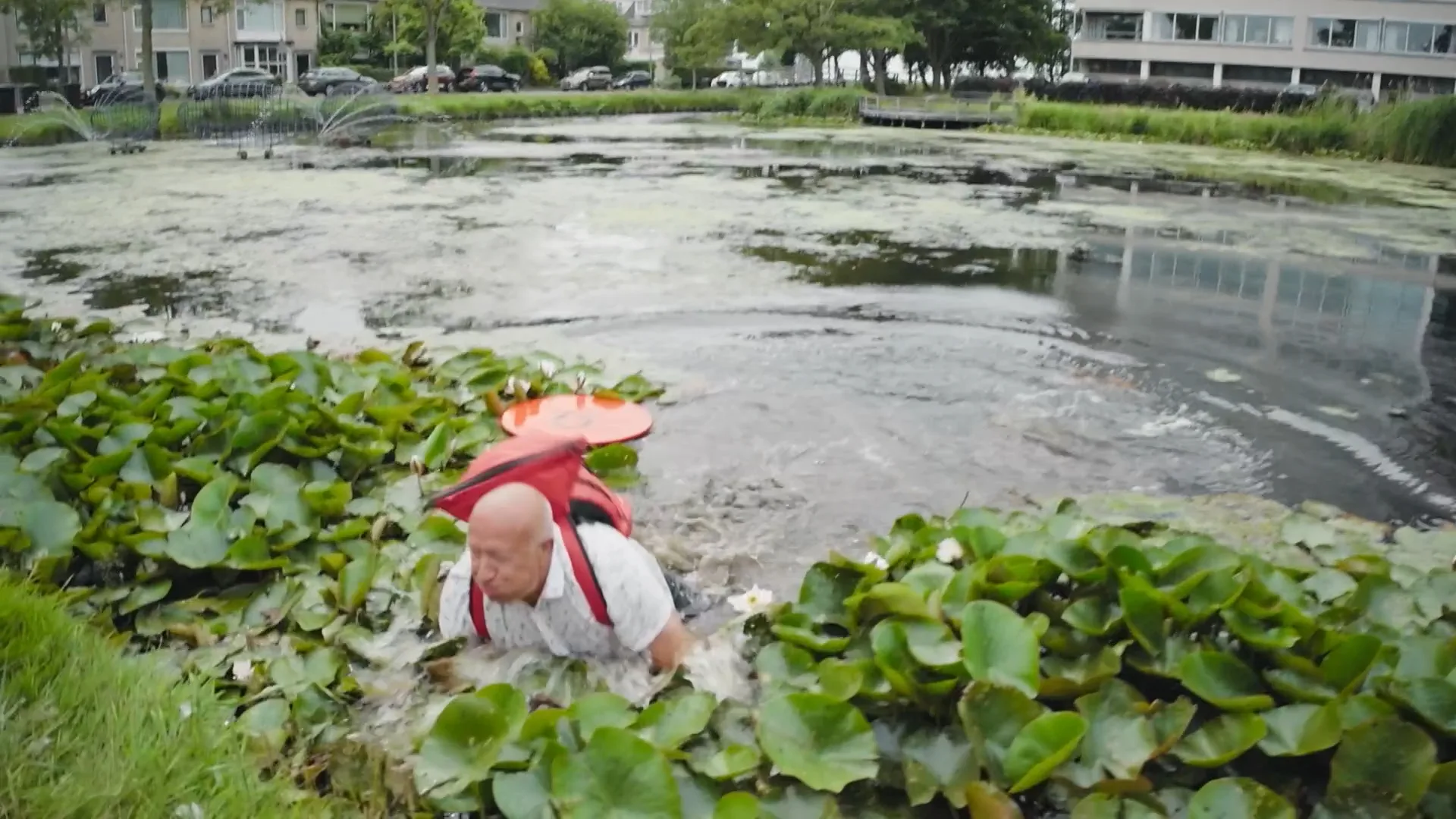 Tim neemt een snelle duik