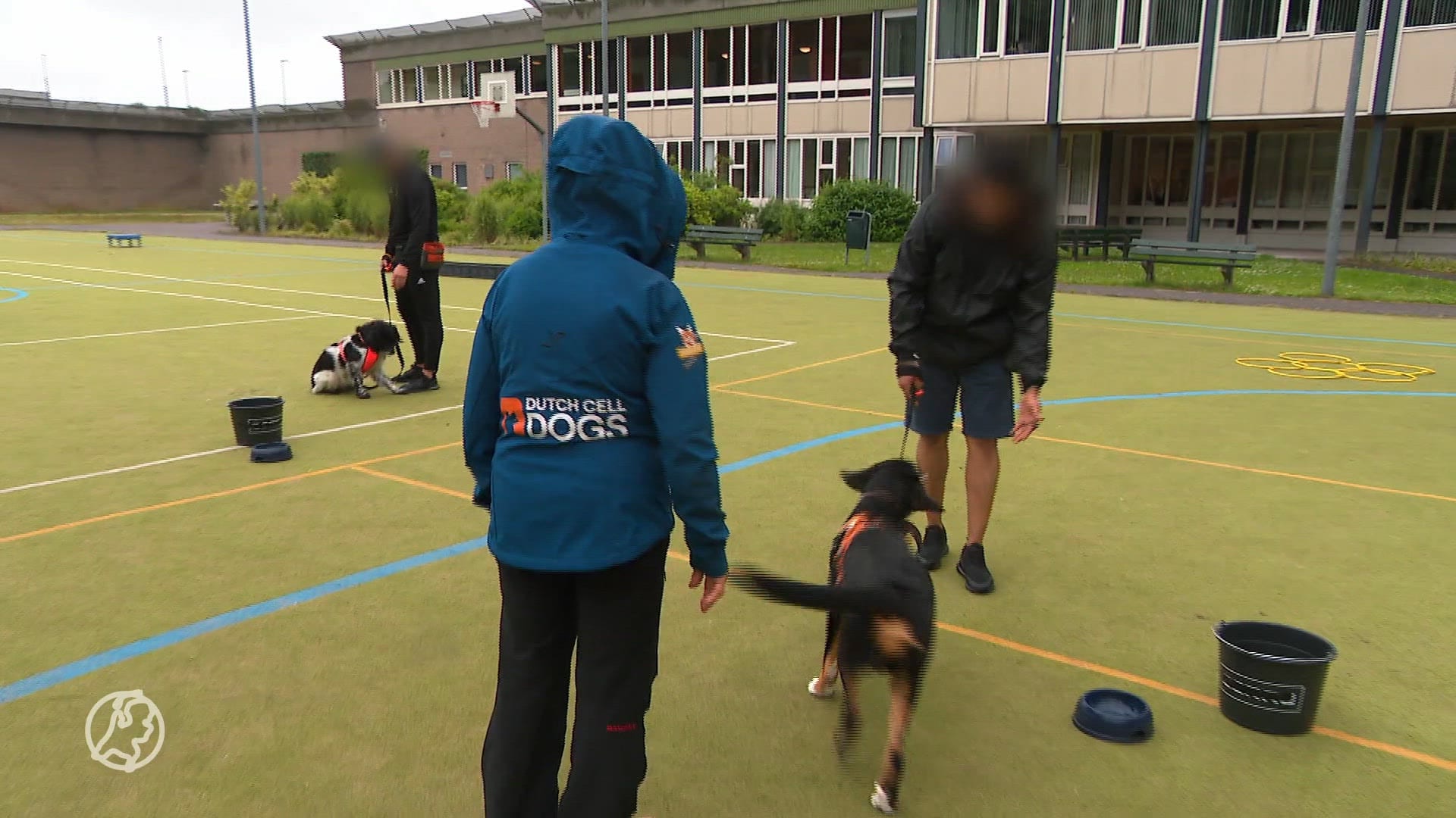 Tbs'ers trainen asielhonden voor een nieuw baasje: 'Schept een bijzondere band'
