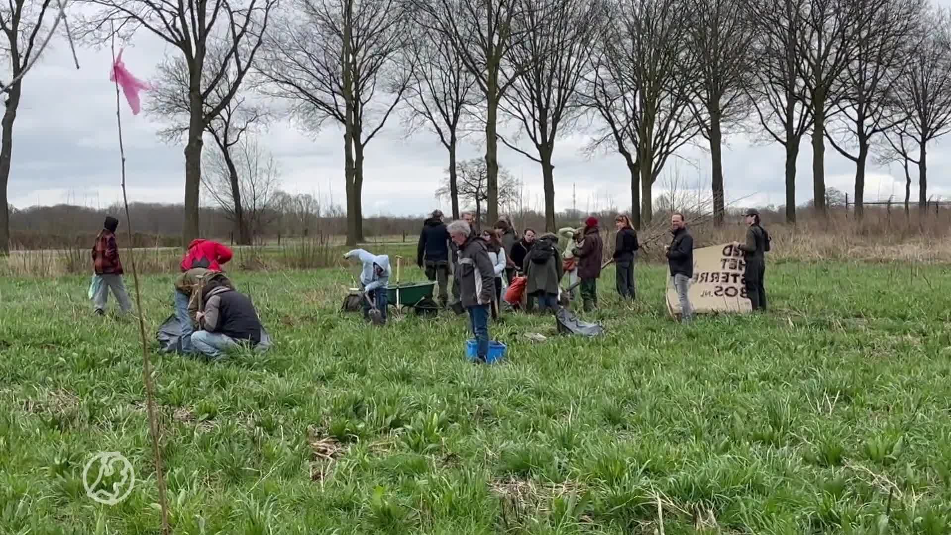 Activisten planten bomen in gekapt Sterrebos bij Nedcar