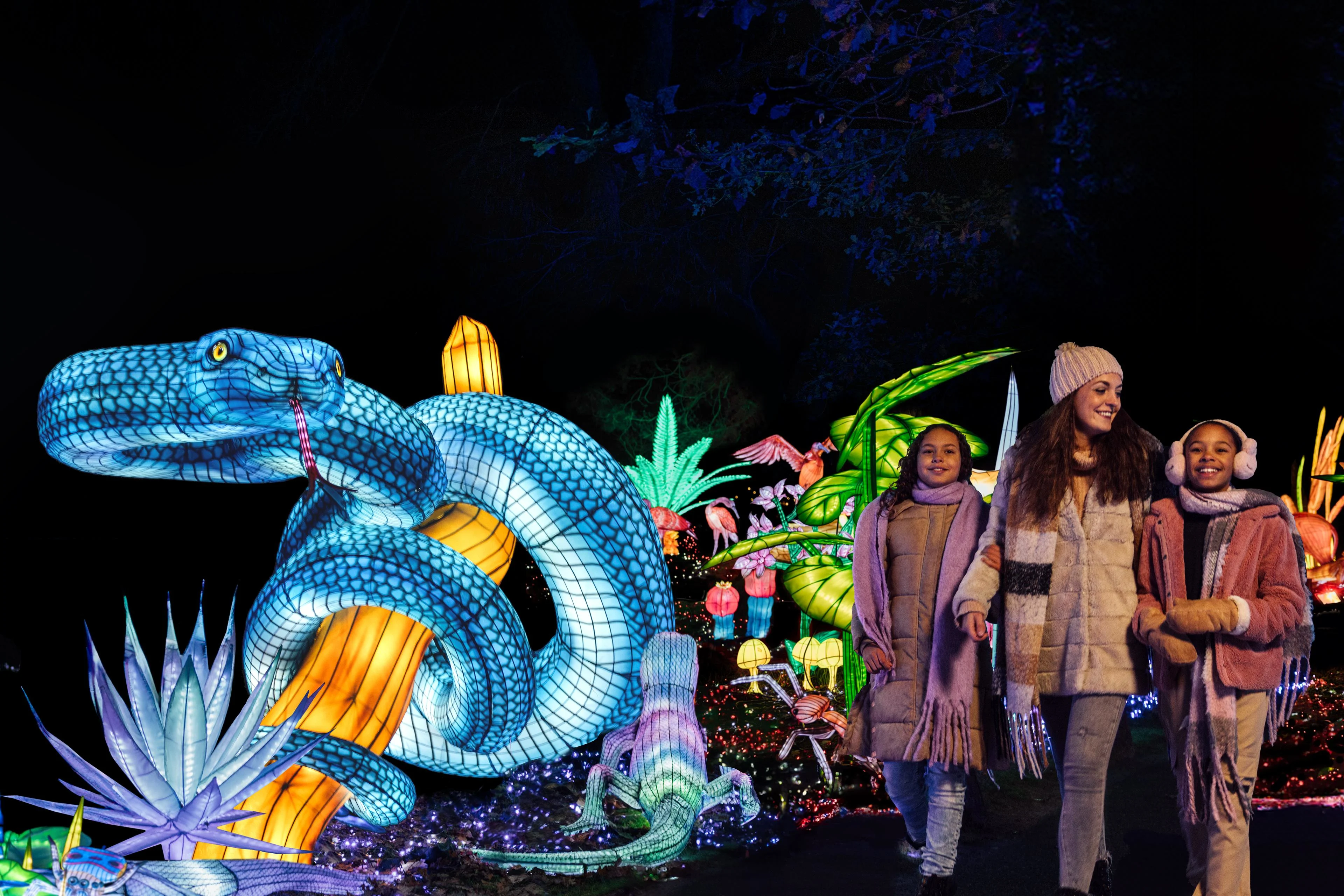 Win vier tickets voor de Light Safari in Beekse Bergen 🐘✨