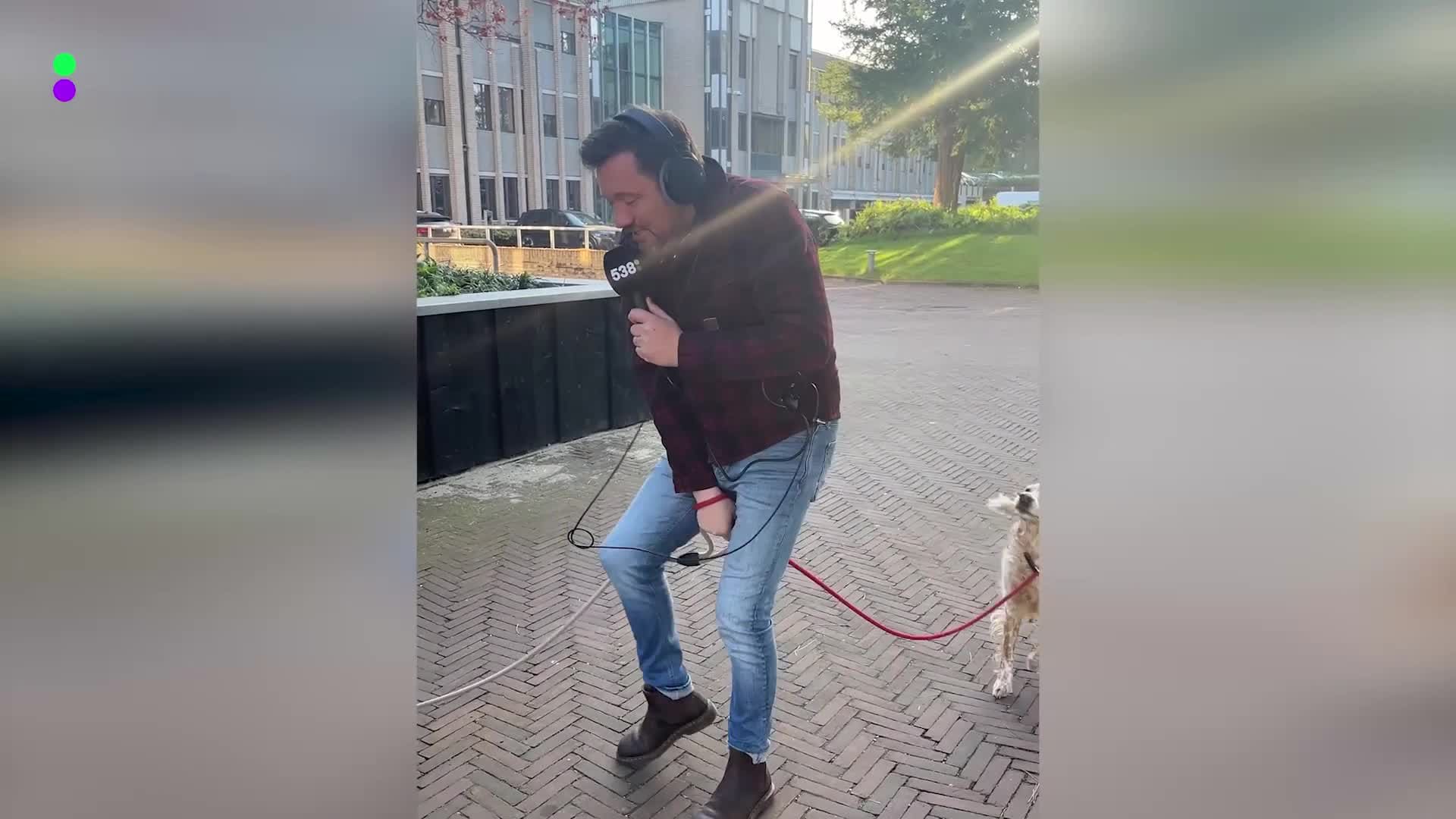 Klaas loopt een ochtendje mee met de hondenuitlaatservice in Hilversum