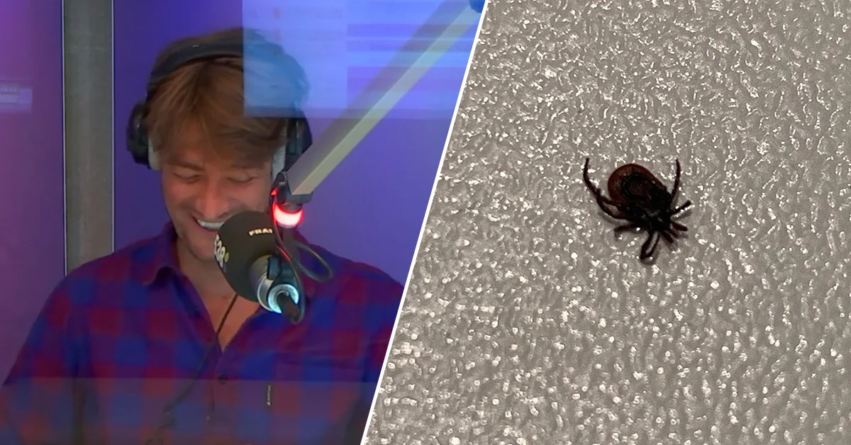 Frank had een teek op zijn... 🍆