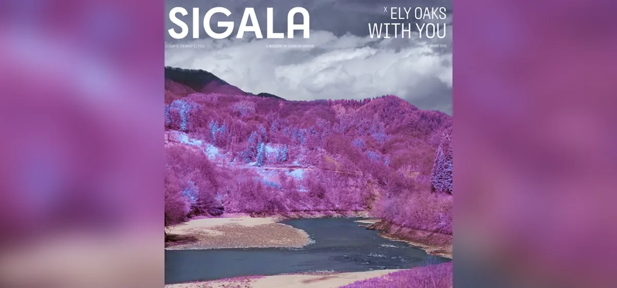 GEMAAKT: Sigala, Ely Oaks - With You