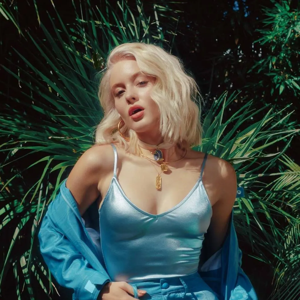 GEMAAKT: DON'T WORRY BOUT ME - ZARA LARSSON