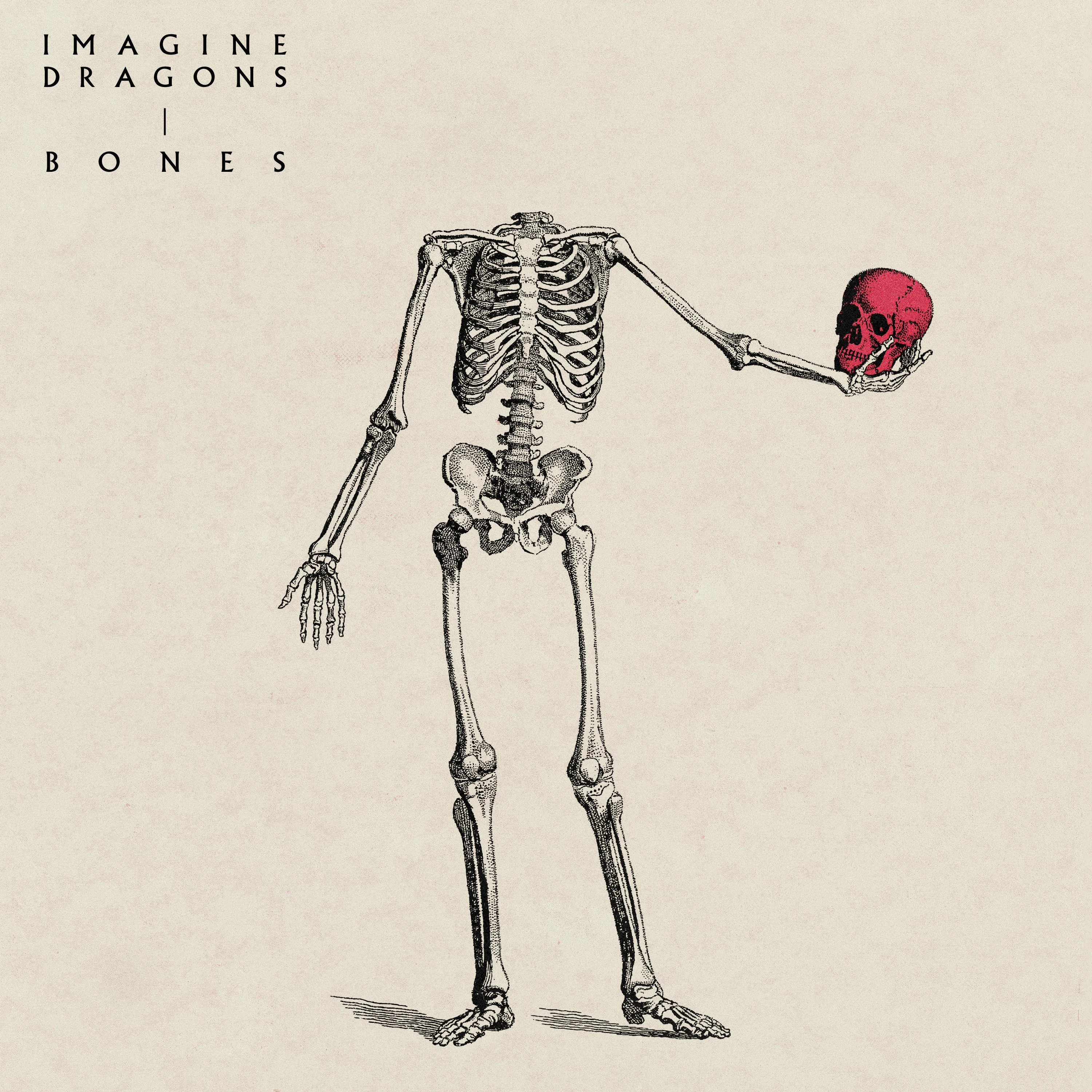 Bones van Imagine Dragons is de nieuwe 538 Favourite
