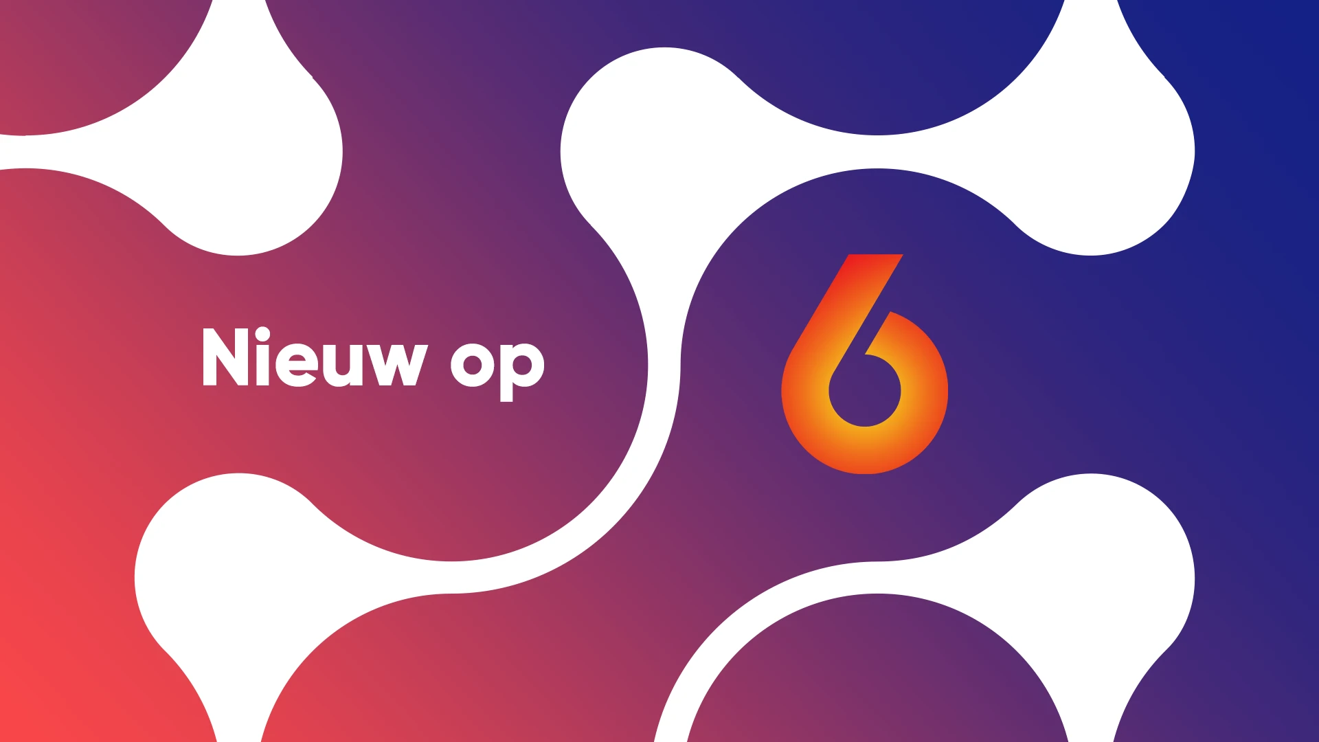 BN’ers terug naar de basis in Road Trippers VIPS.