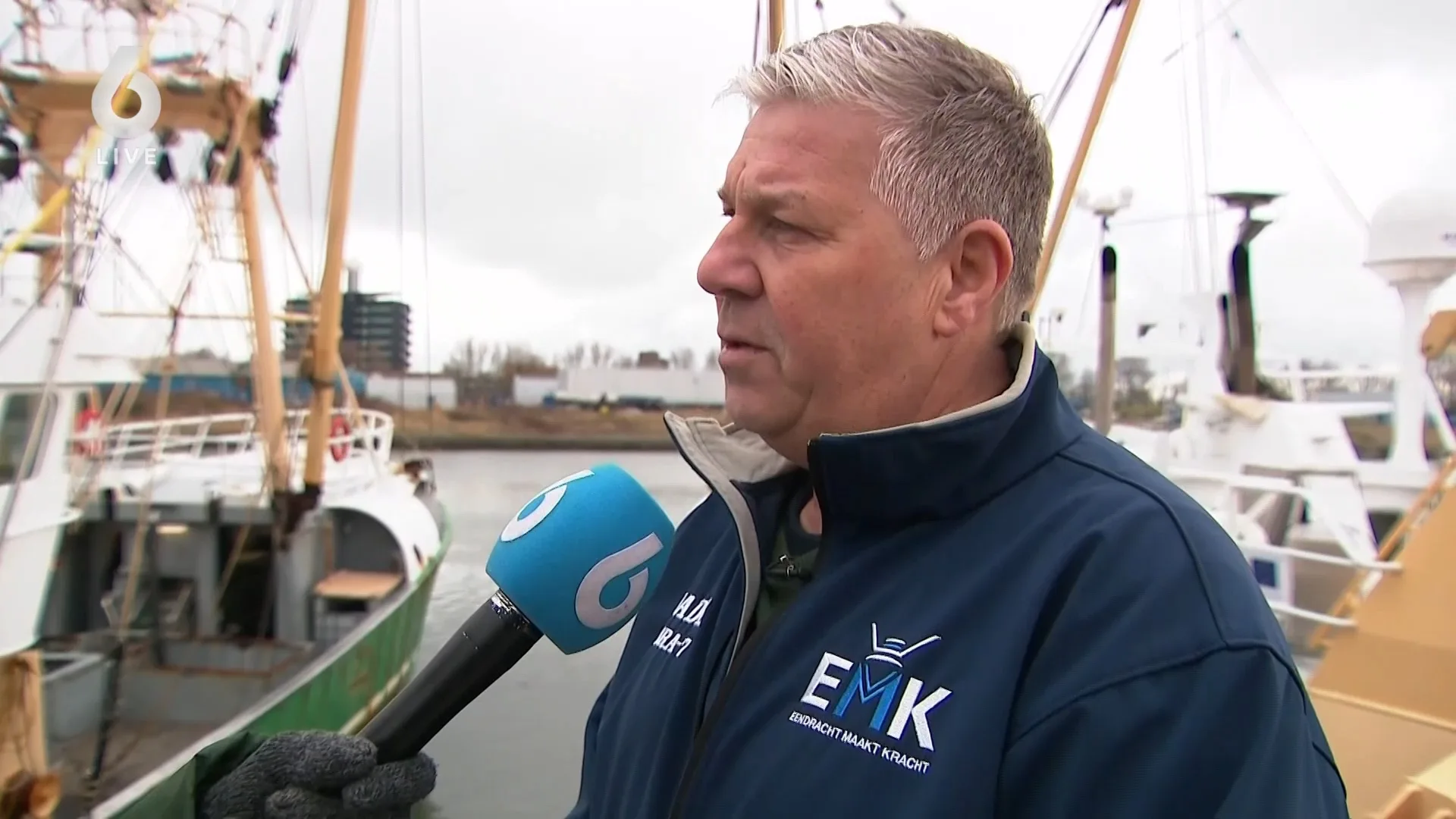 Vissen sterven door windmolens op zee