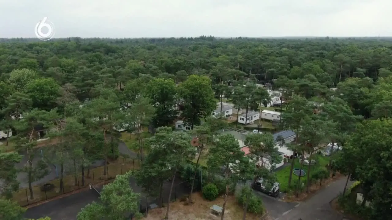 Peter Gillis gaat op augurkendieet