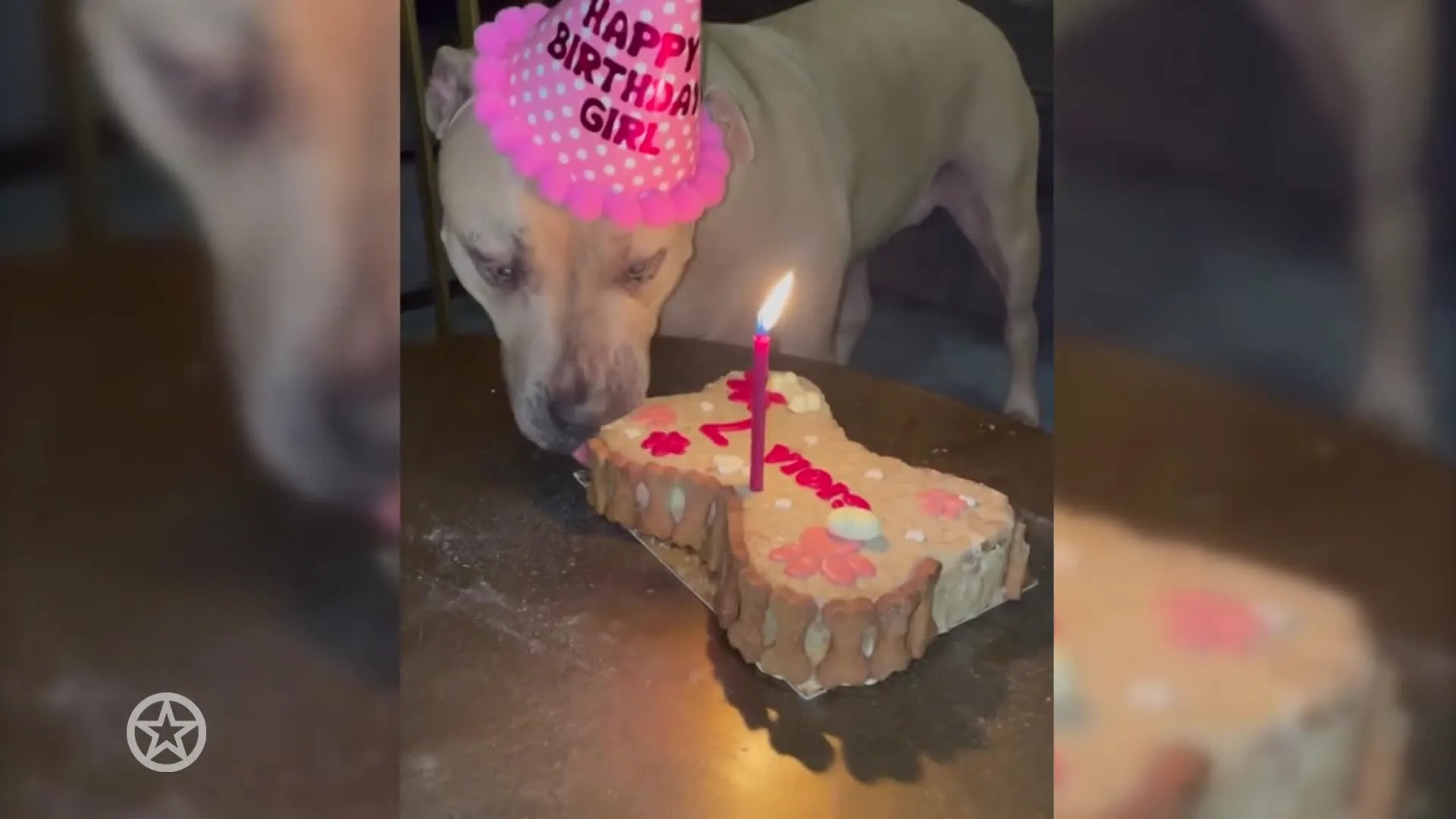 Groot feest voor Monique Westenberg en André