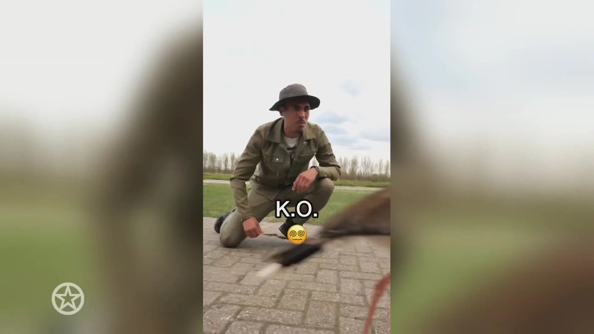 Is Wildebras de nieuwe Freek Vonk?